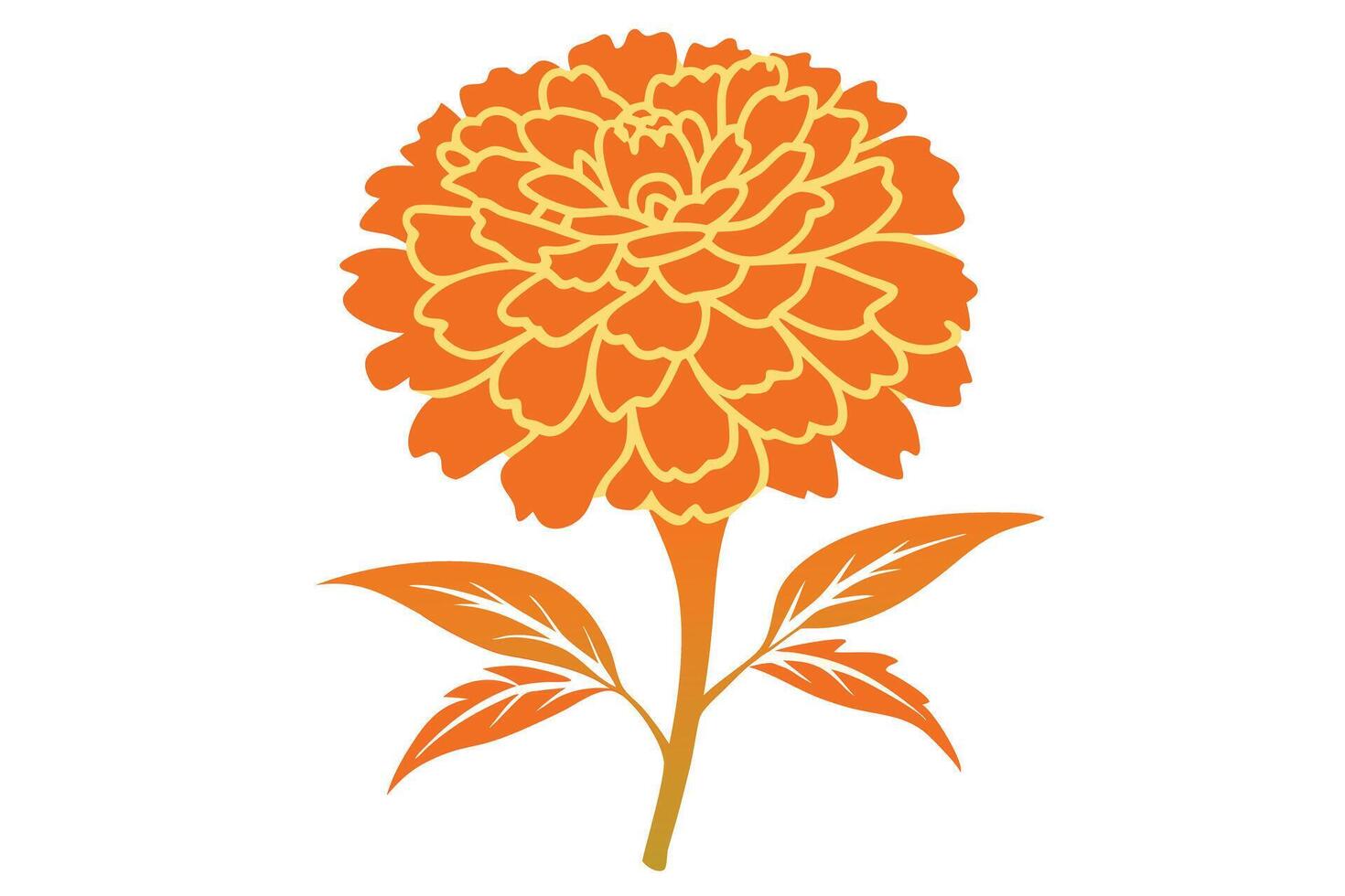 A Orange Marigold Flower Design vector