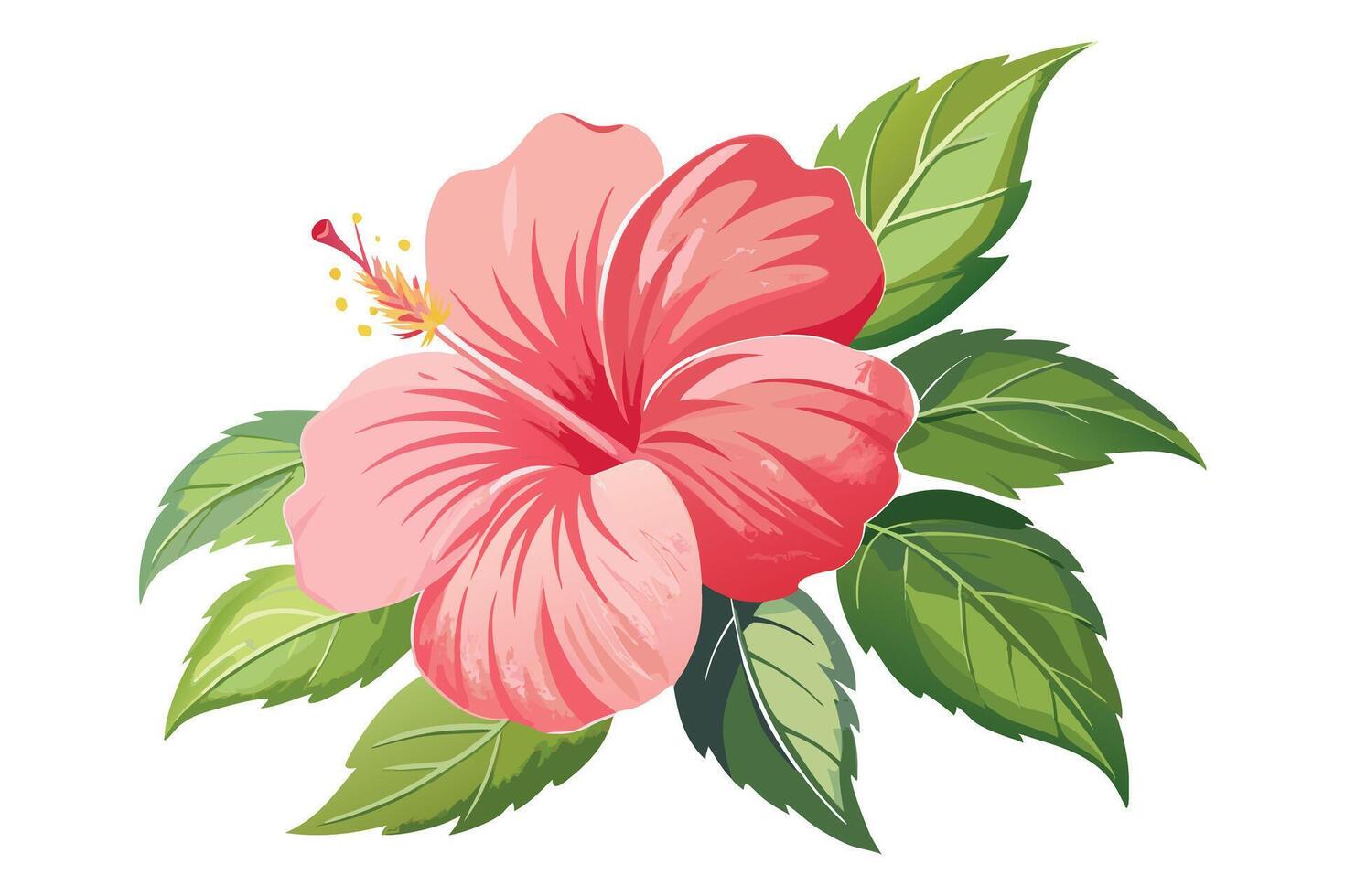 Pink hibiscus flower illustration, perfect for spring design. vector