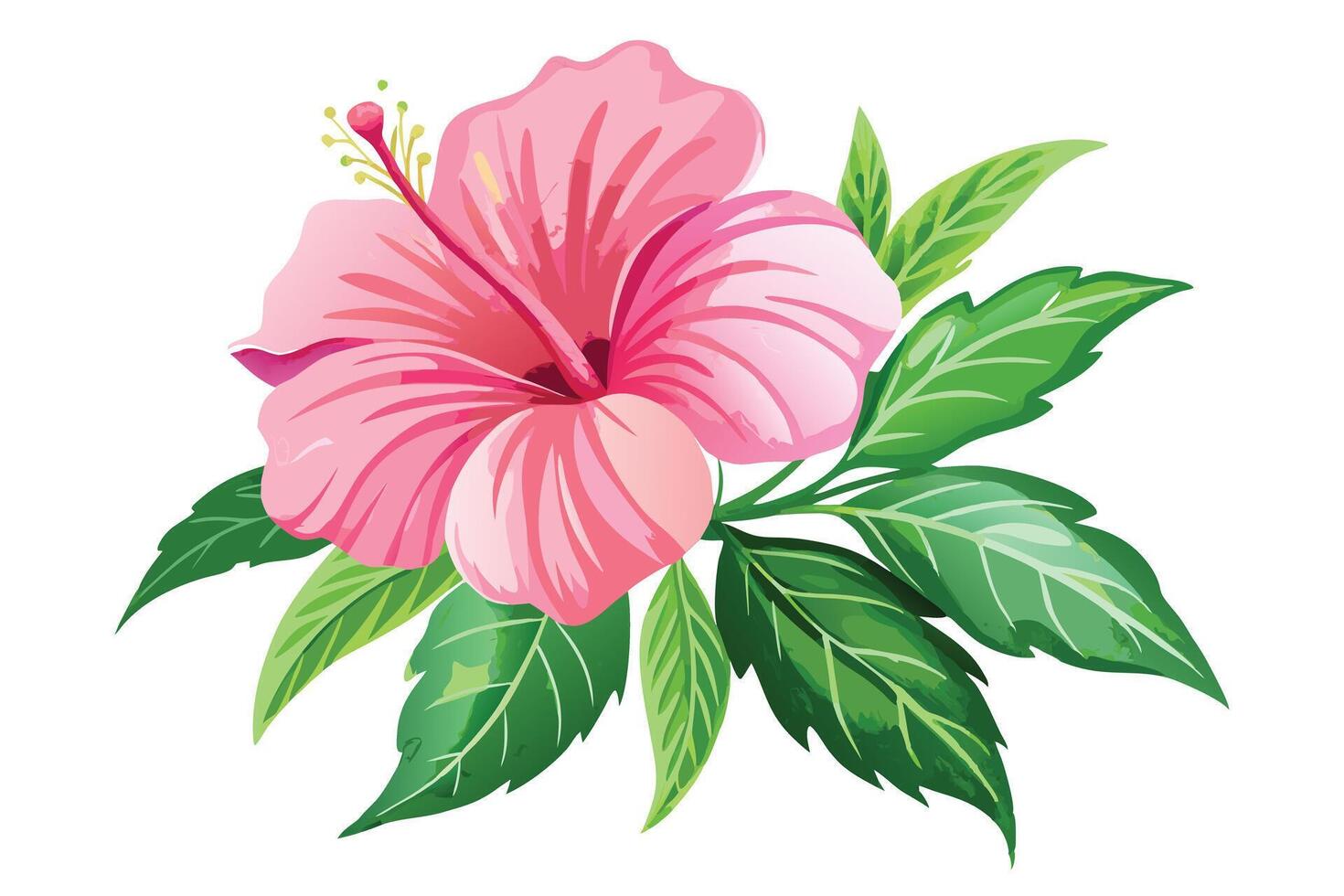 A pink hibiscus flower illustration, perfect for spring design. vector