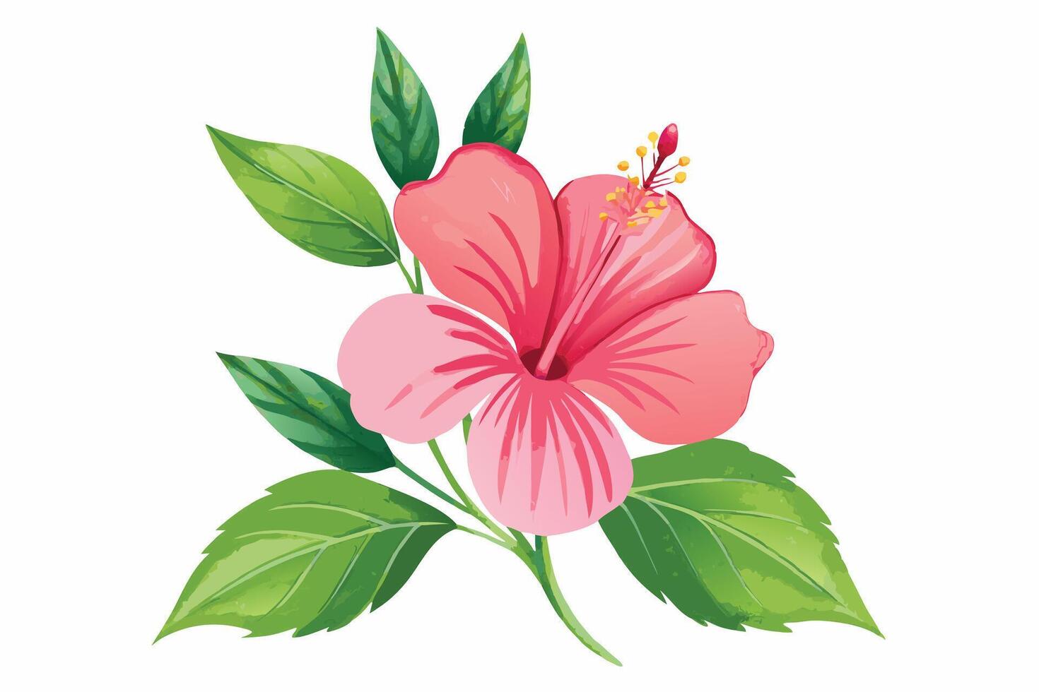 Vibrant pink hibiscus flower illustration, perfect for spring design. vector