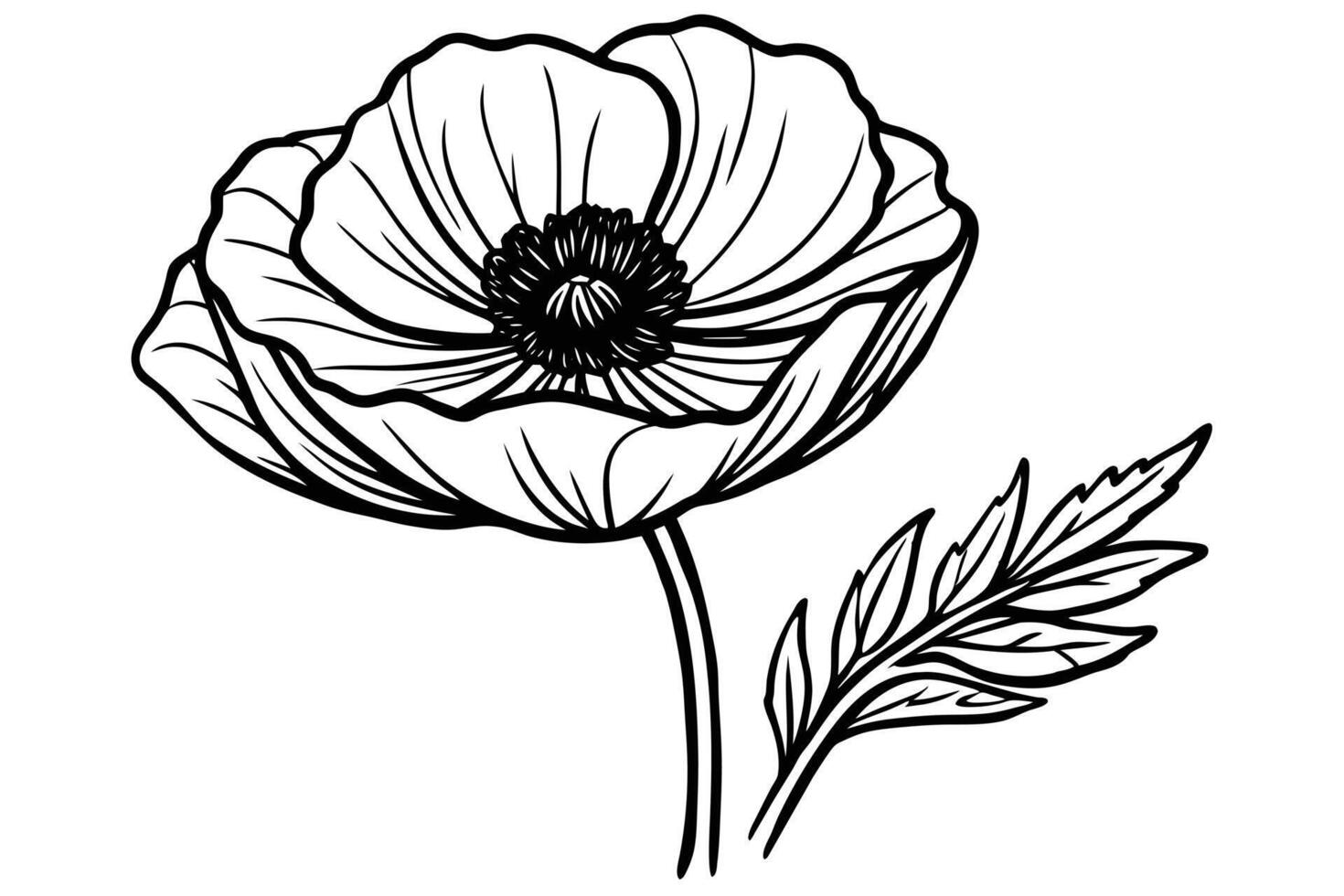 Elegant black and white line art poppy flower illustration. vector