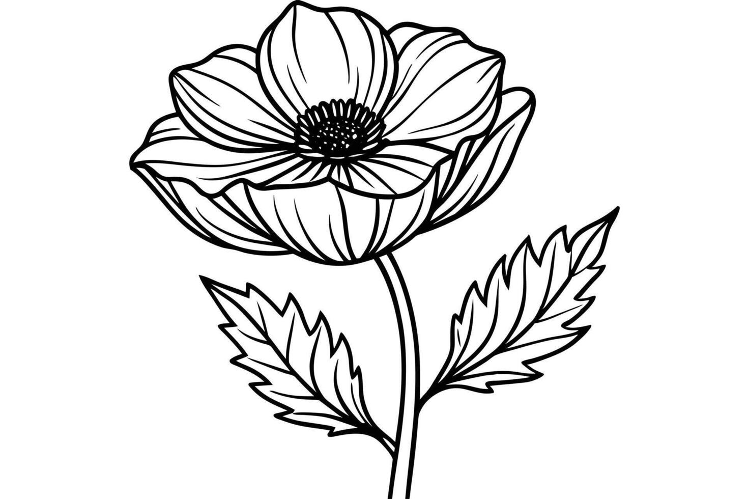 Line art poppy flower illustration. vector