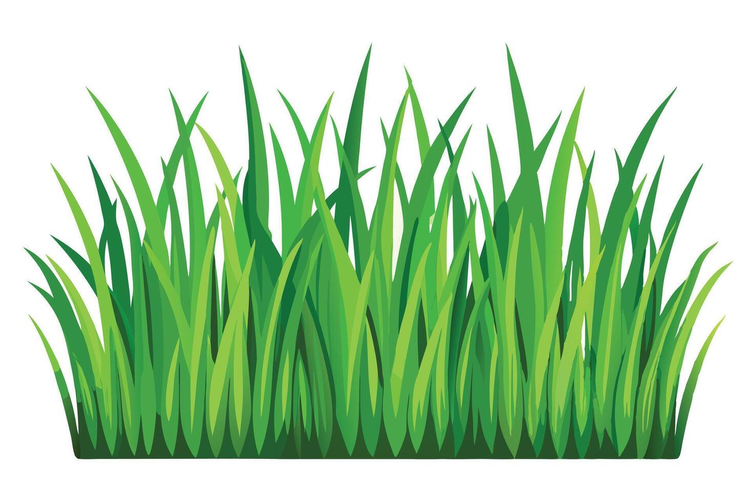 A Green Grass Border for Design Elements vector