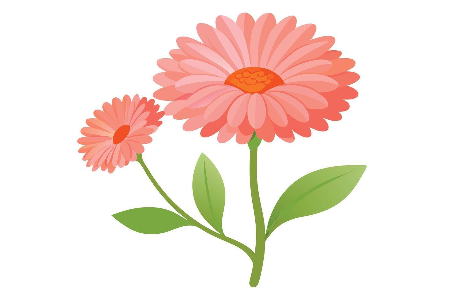 Pink and Orange Flowers in a Floral Arrangement vector