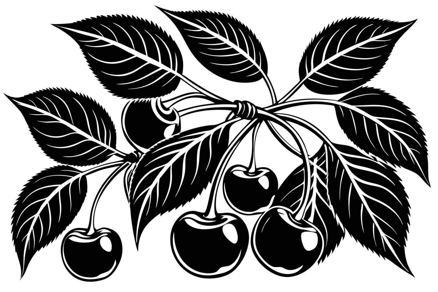 Vintage Illustration of Cherries and Leaves vector