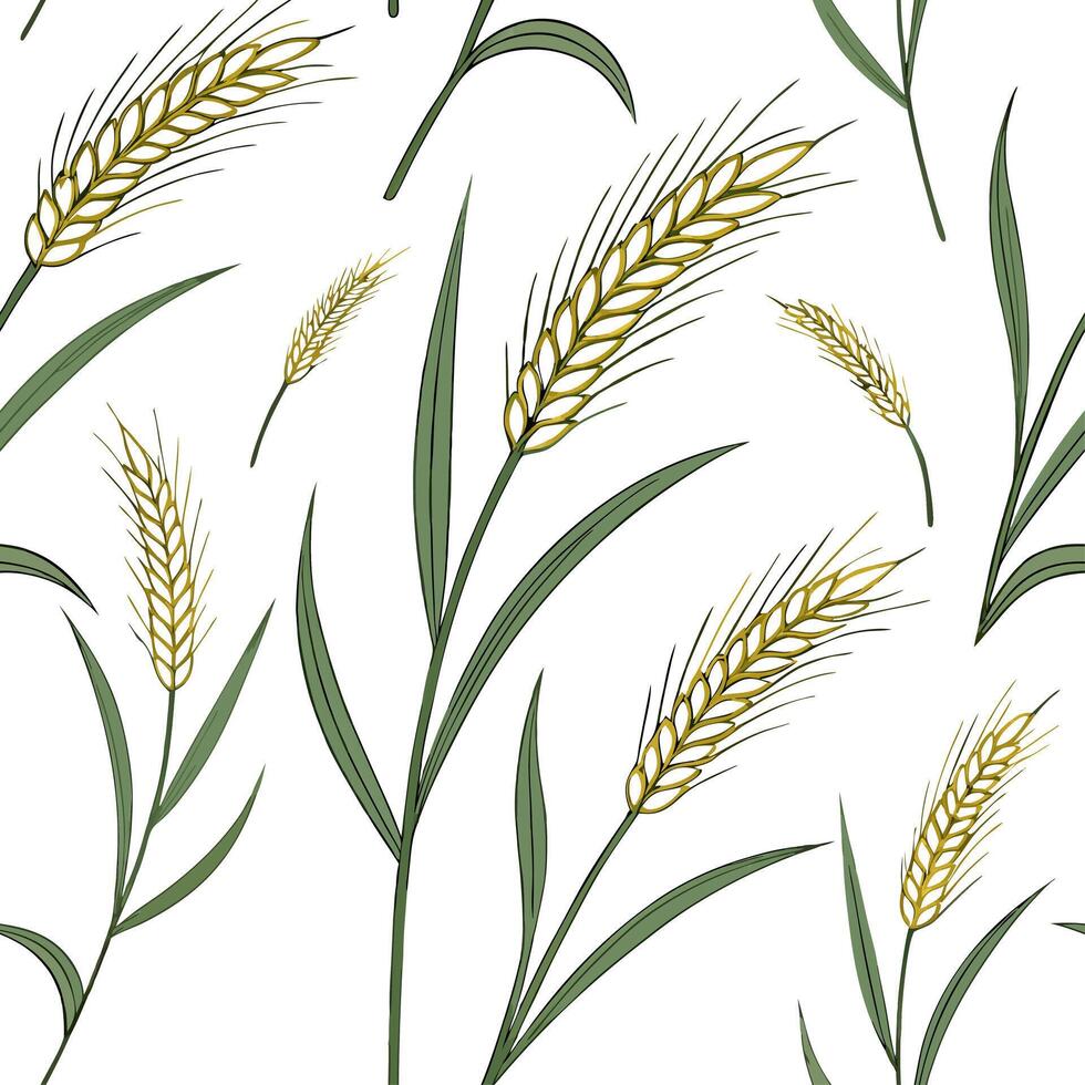Spring wheat grass seamless tile pattern with soft green and golden hues for an organic touch concept as Wheat grass with soft green and golden hues creates an organic and fresh sp Dynamic vector