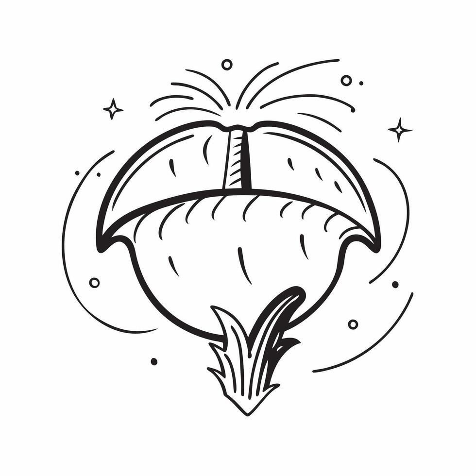 Palm tree icon with copy space on a white background concept as A image of a palm tree icon with generous copy space on a white background ideal for tropical and vacation th Dynamic vector