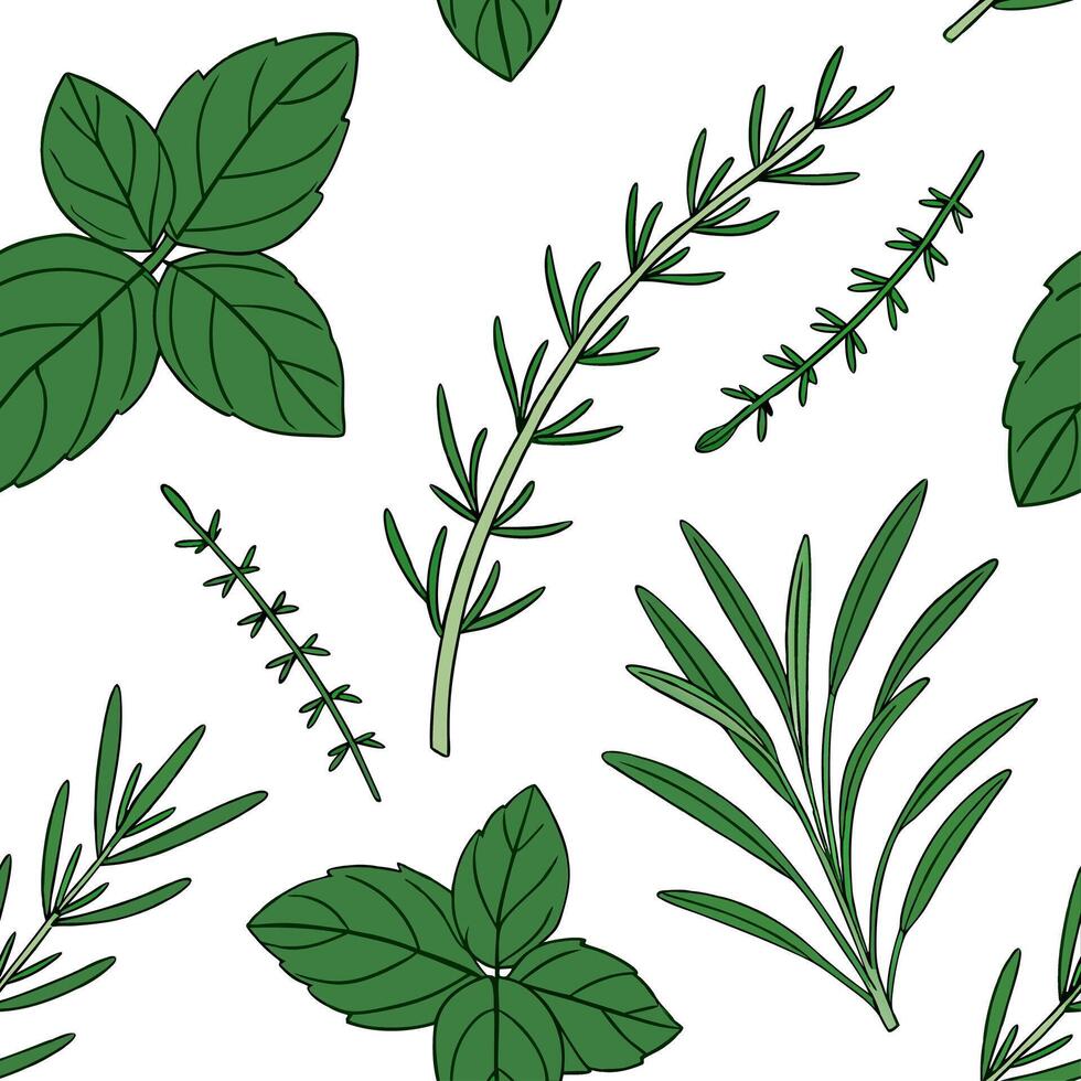 Fresh herb garden seamless tile pattern with green basil thyme and rosemary sprigs for a culinary spring theme concept as Herb sprigs like basil thyme and rosemary form a fresh cul Dynamic vector