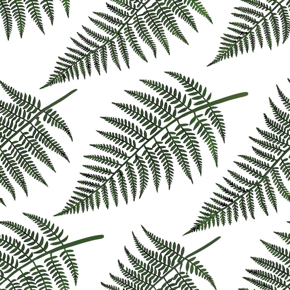 Fresh fern seamless tile pattern with intricate fronds and rich green tones for spring freshness concept as Fresh fern fronds with rich green tones and intricate details create a s Dynamic vector