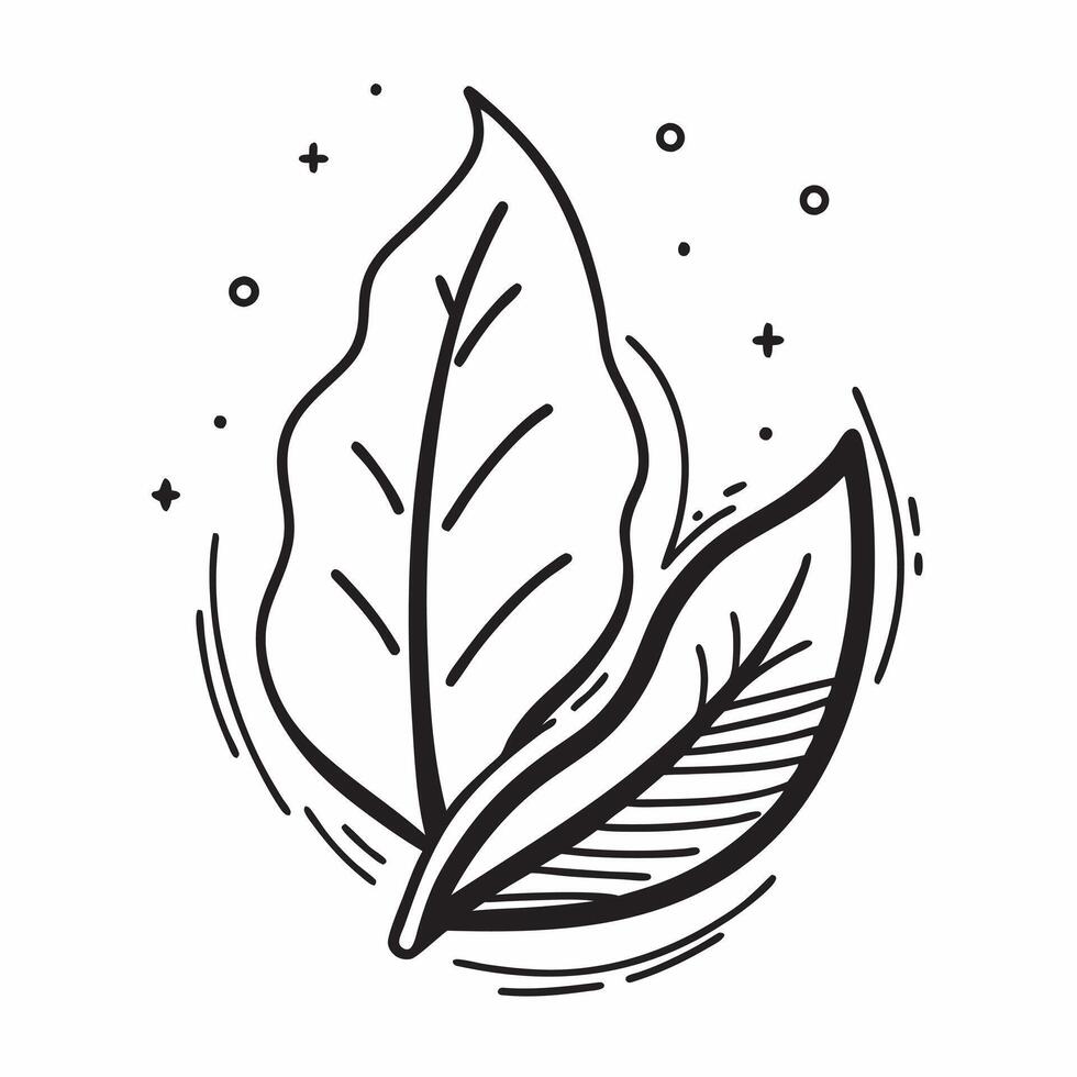 Flat design as Leaf icon with copy space on a white background concept as A image of a leaf icon with generous copy space on a white background ideal for natural health and Dynamic Set 3 vector