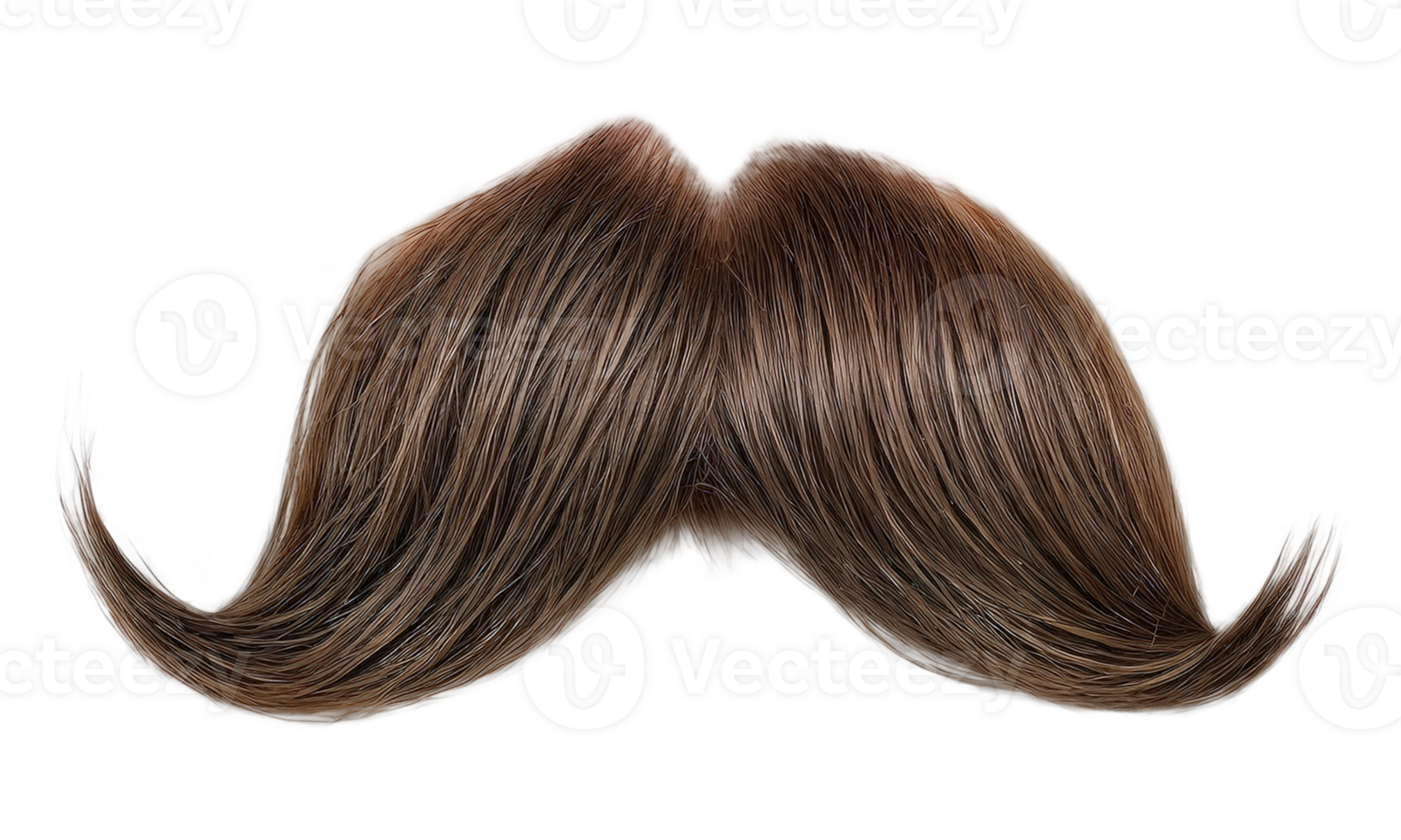 Closeup of a fake mustache on a transparent background, showing details png