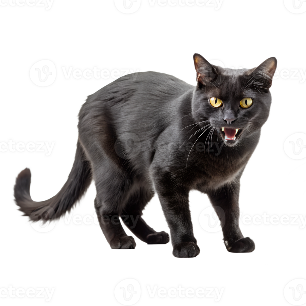 A sleek black cat with yellow eyes stands elegantly. png