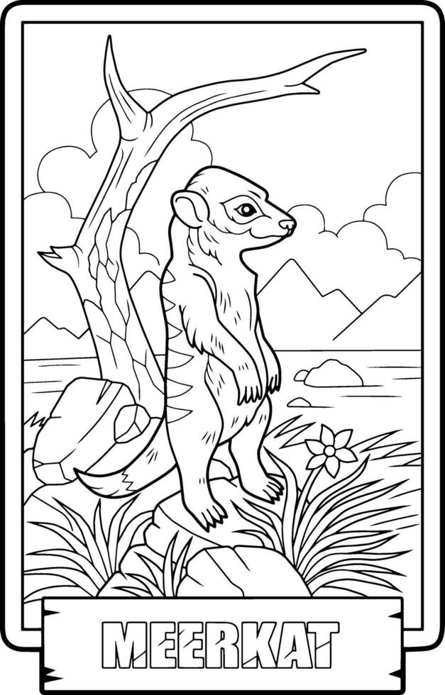 Cute little meerkat, coloring page for kids vector