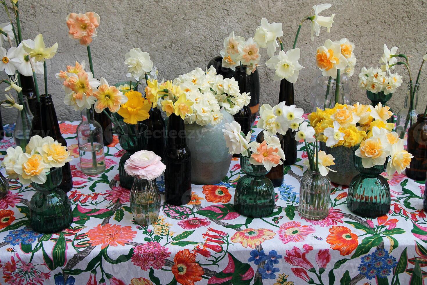 View of daffodils in small vases on a table closeup. photo