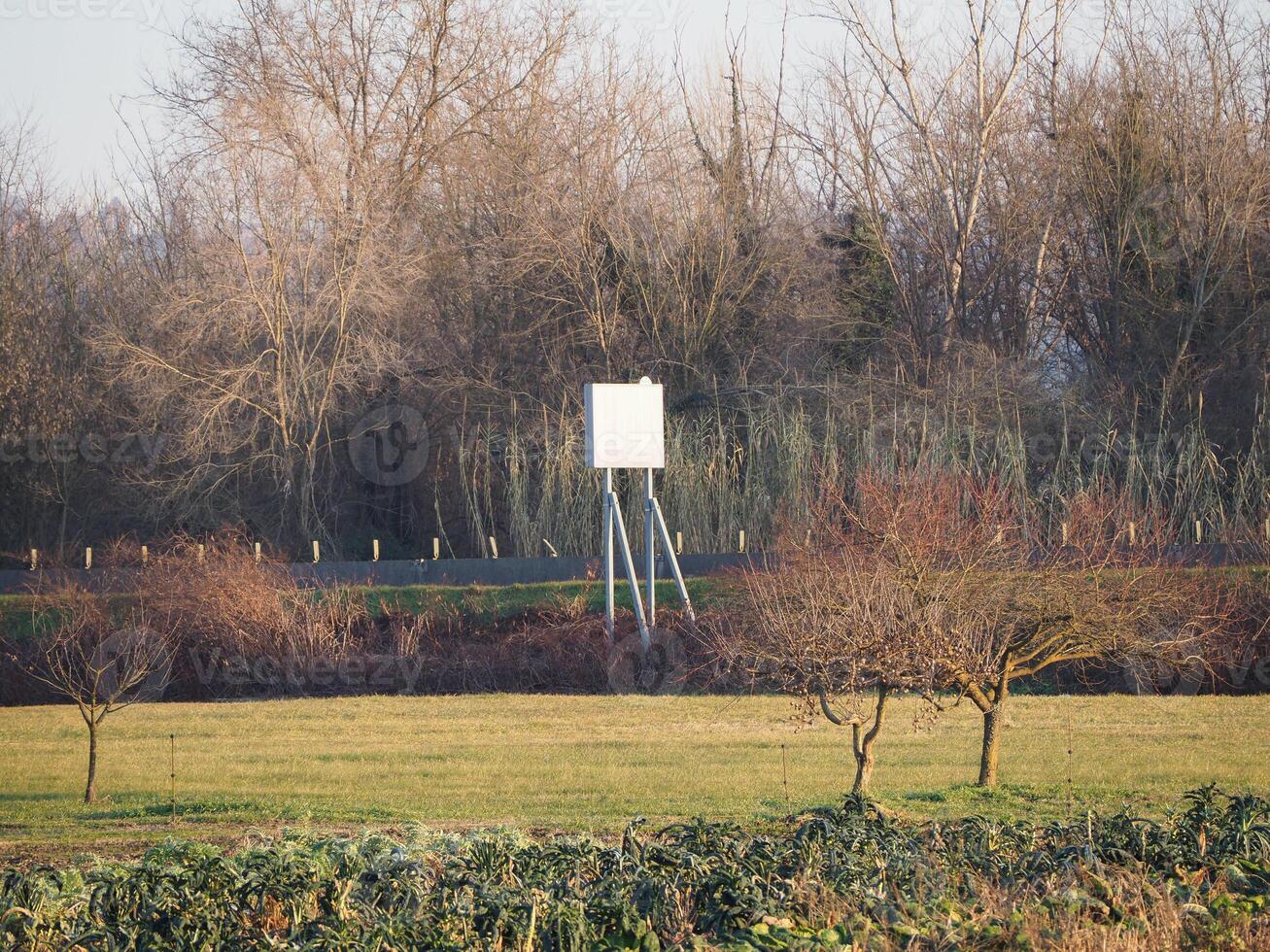 blank billboard by the motorway photo