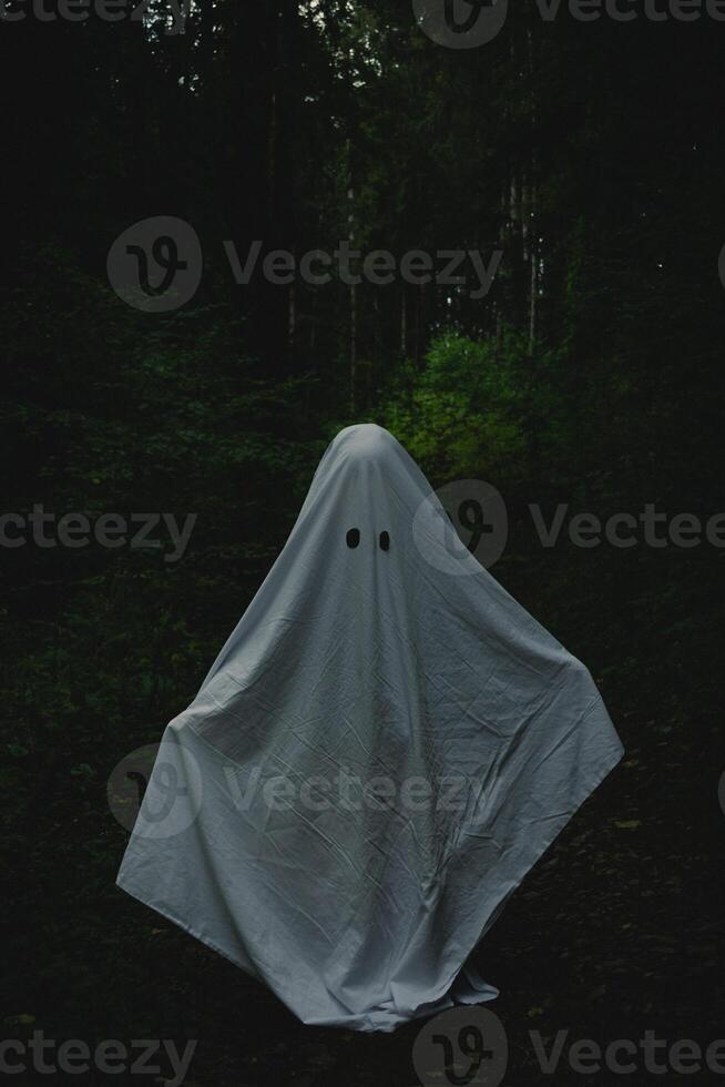 View of a child in a ghost costume among the trees in the forest photo