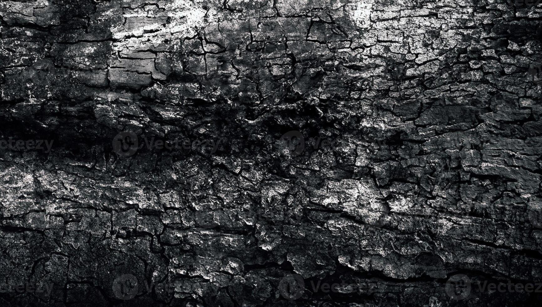 Close-up of rugged tree bark texture with a dark and gritty aesthetic, ideal for natural or grunge designs. photo