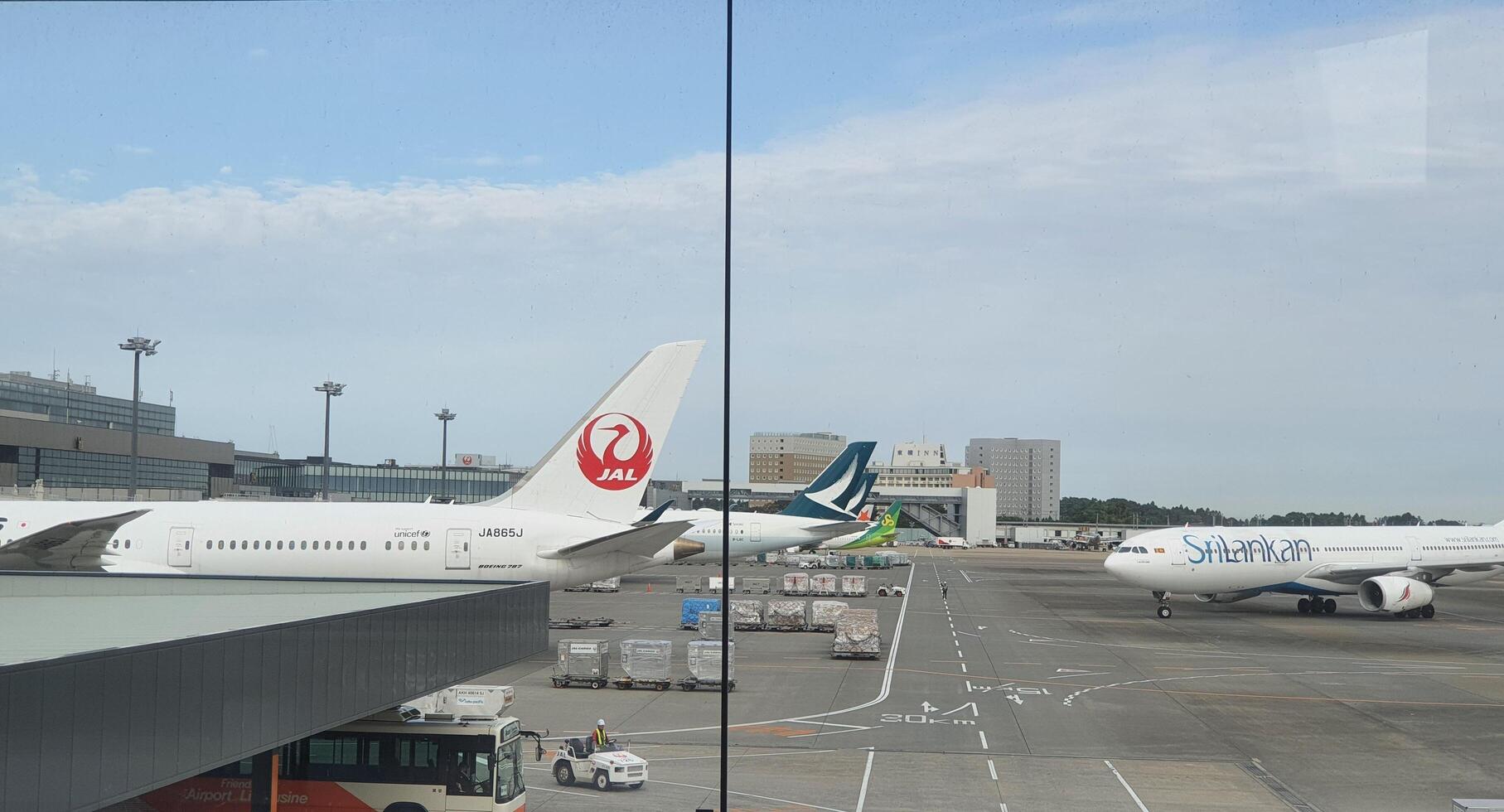 Tokyo, Japan on 08 October 2023. Airport Runway View Multiple Airplanes Cargo Trucks photo