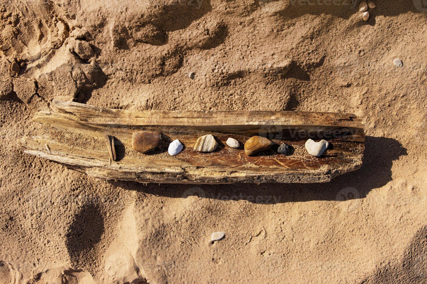 Weathered driftwood filled with smooth pebbles and seashells on sandy beach of Baltic sea in Latvia, Riga. Natural texture of assorted stones and shells on sand background. Copy space 1 photo