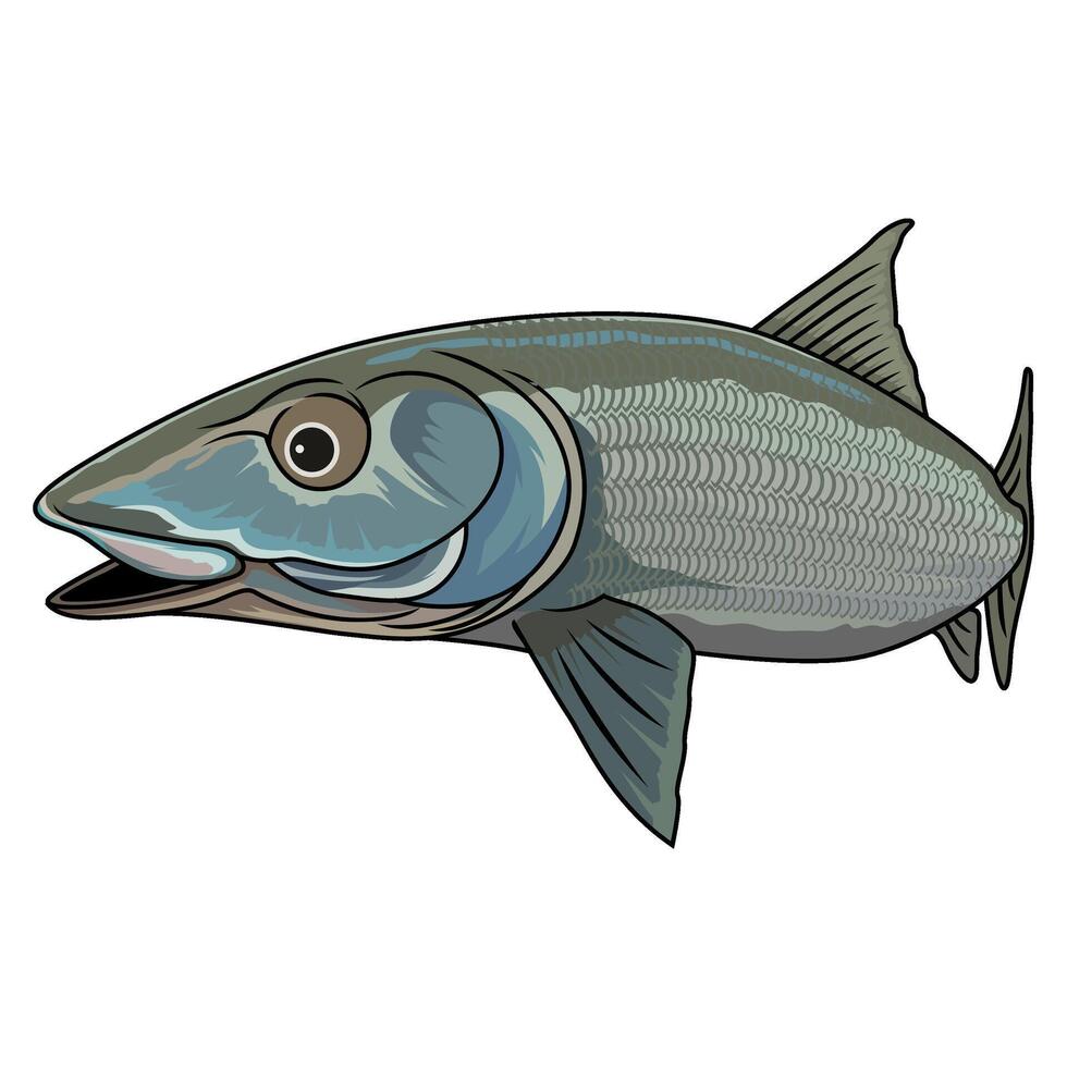 bonefish seen from the side fishing illustration logo image t shirt vector