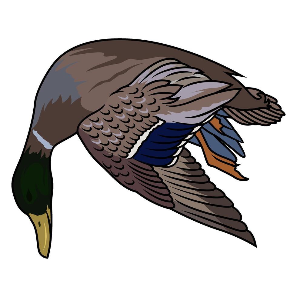 dead mallard duck hunting illustration logo image t shirt vector