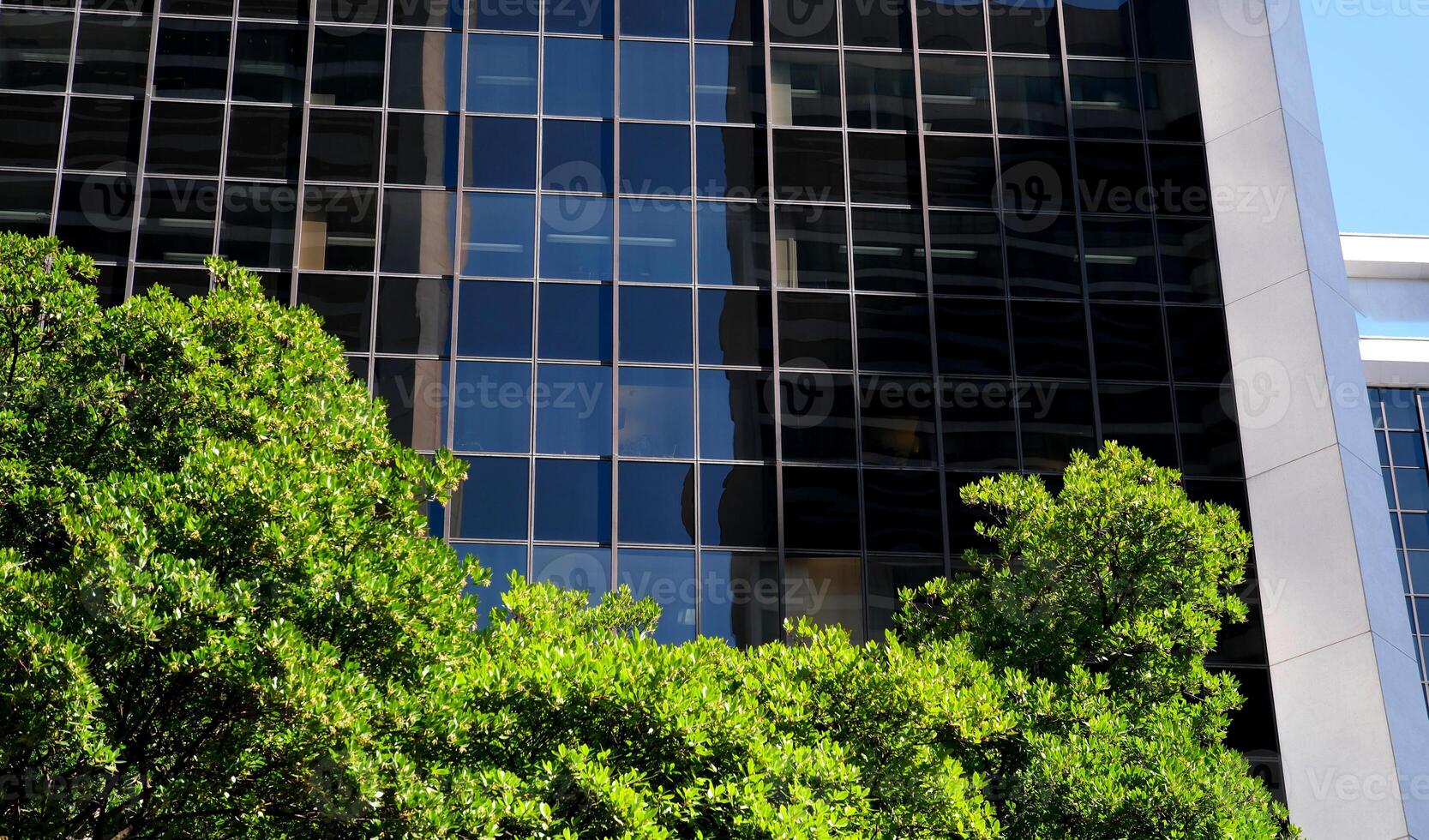 Eco-friendly building in the modern city. Sustainable glass office building with trees for reducing heat and carbon dioxide. Office building with green environment. Corporate building reduce photo