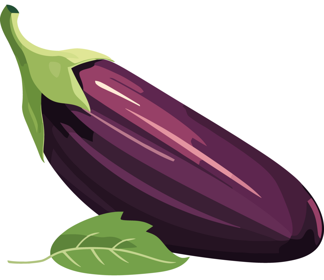 Eggplant with leaves icon illustration isolated png