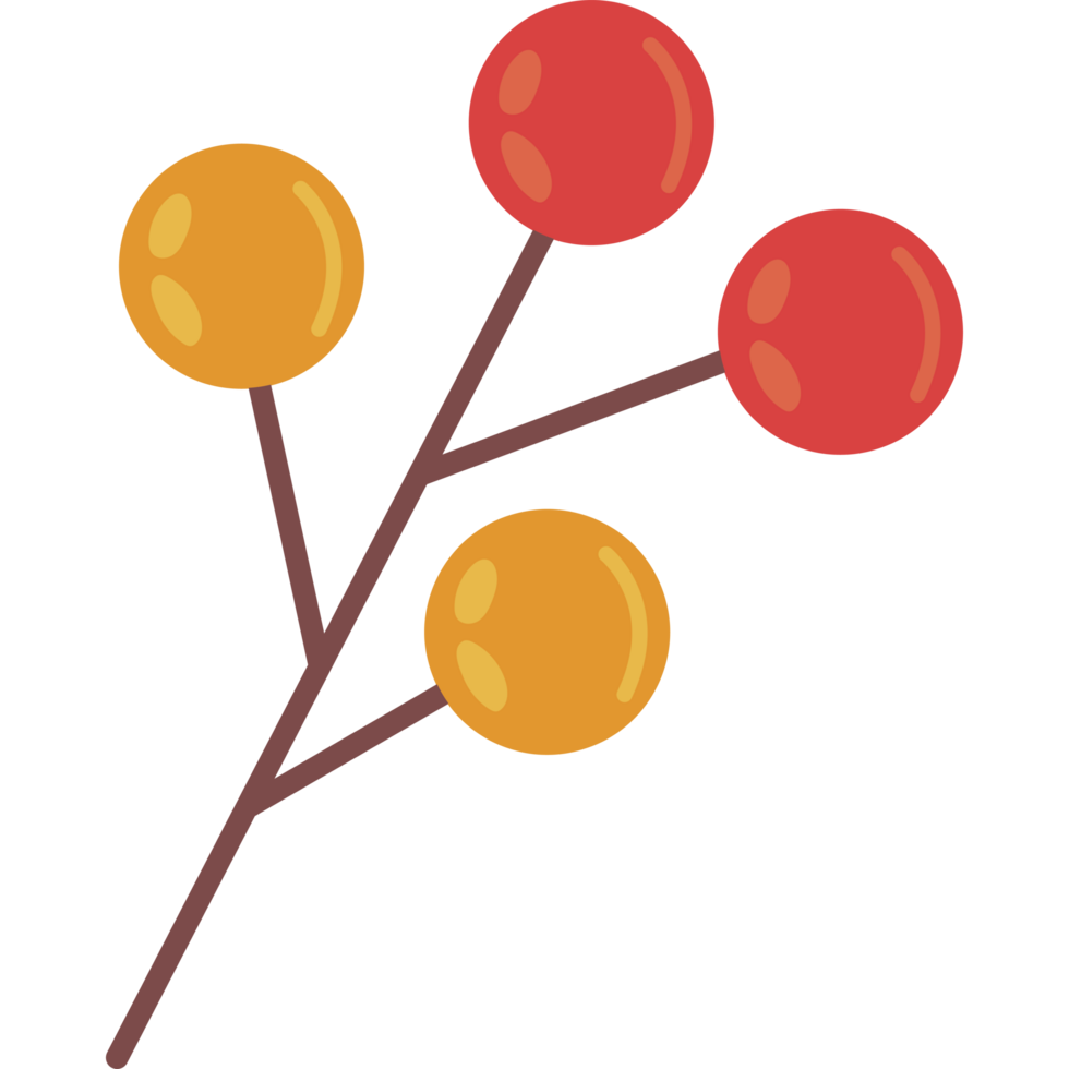 Branch with red and orange berries icon isolated png