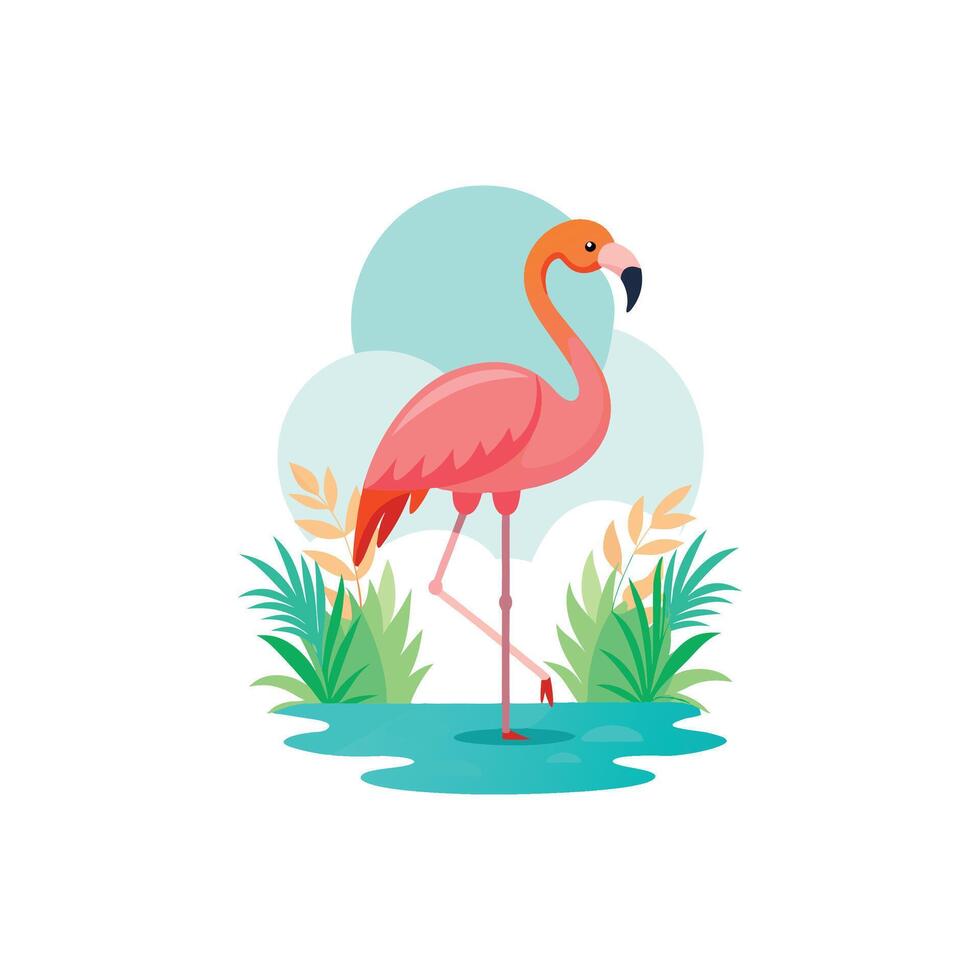 Elegant Flamingo Standing in Shallow Water vector