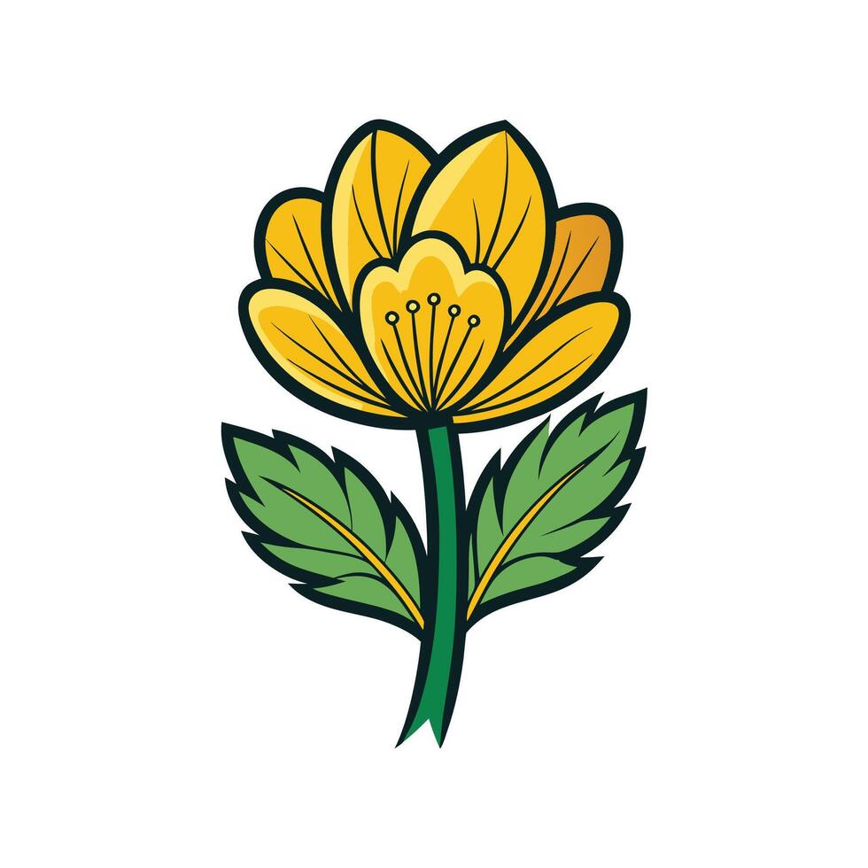 Winter Aconite Flower Illustration with Bold Outline 56004884 Vector