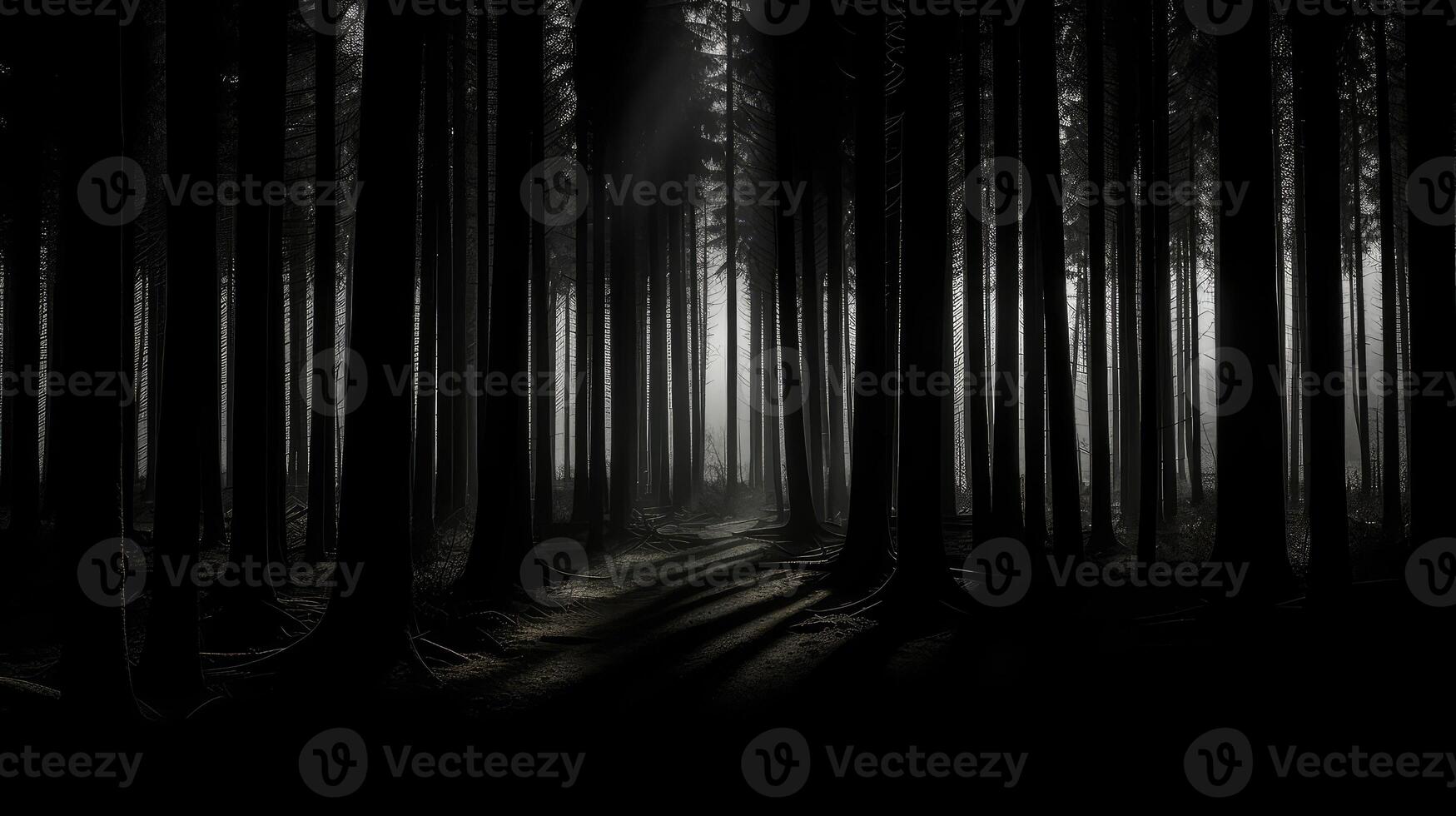 dusk black perspective photo