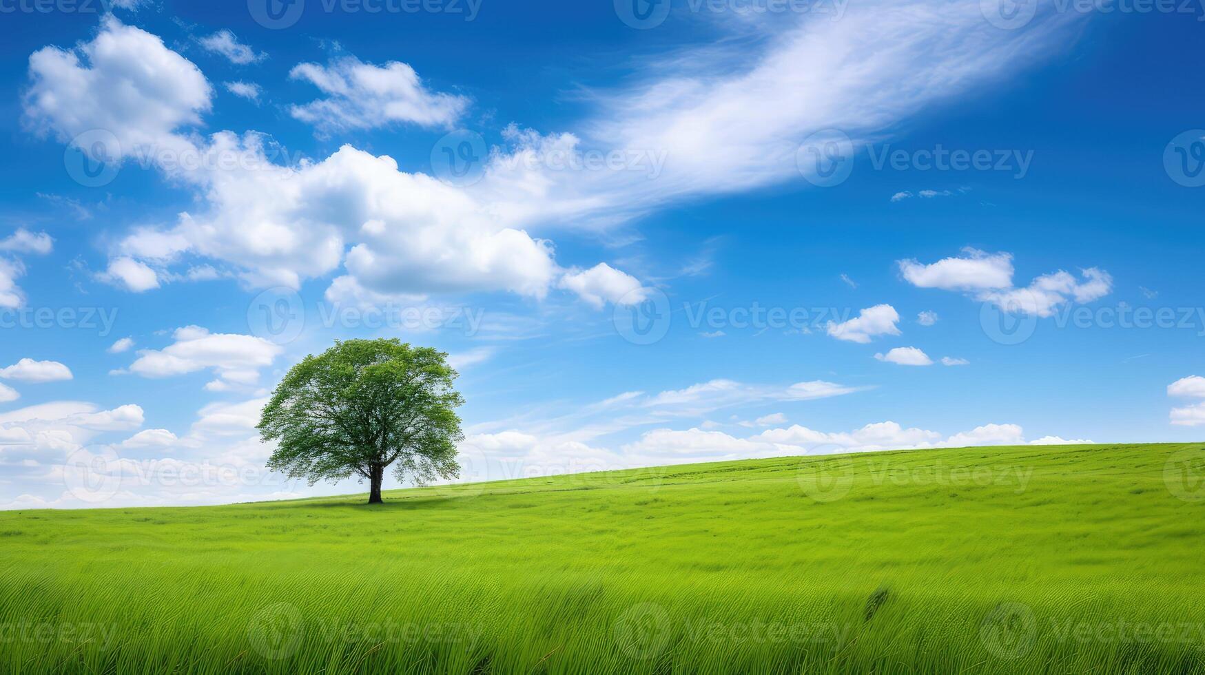 serenity blue sky green field photo