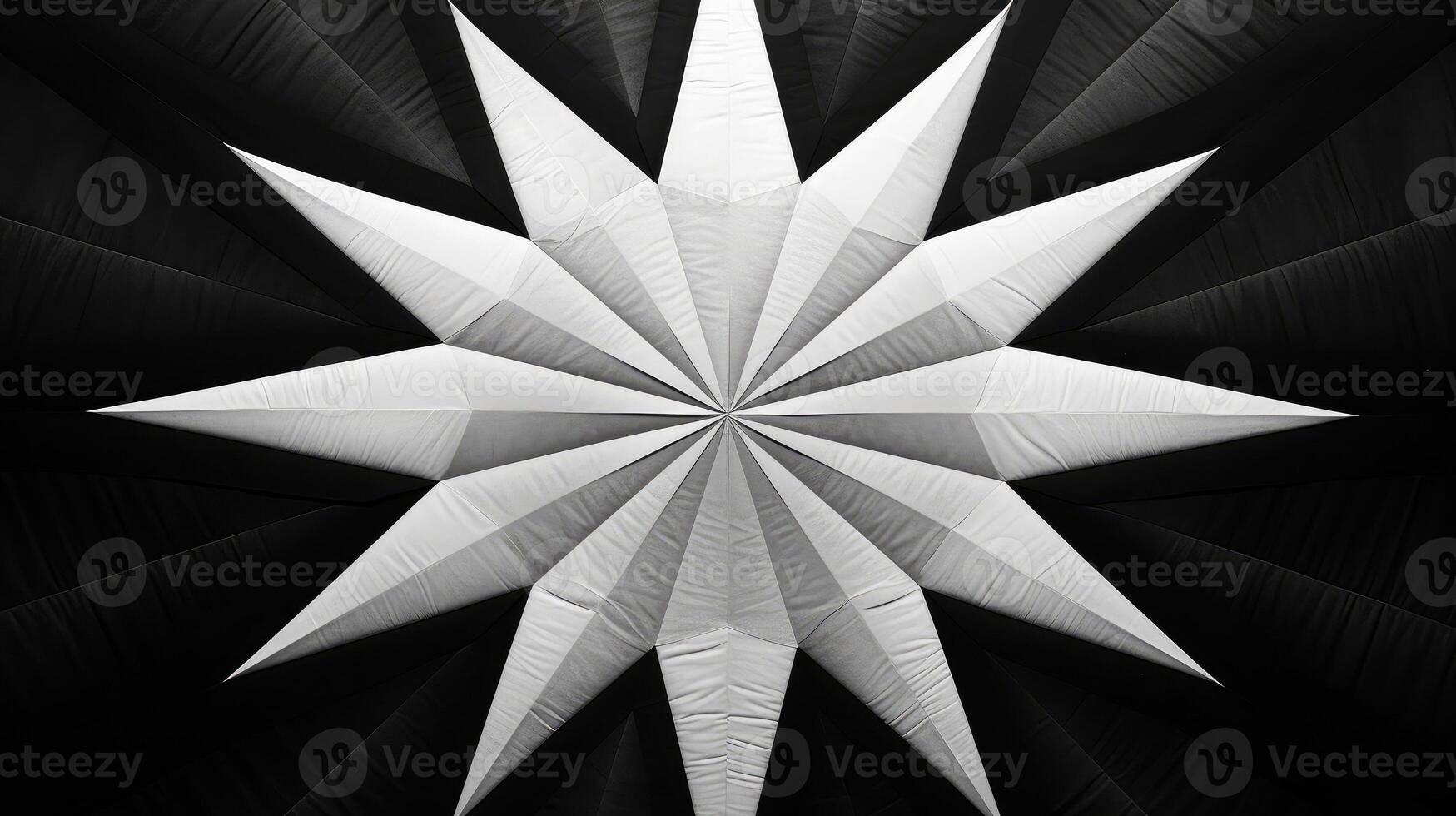 stylish black and white star photo