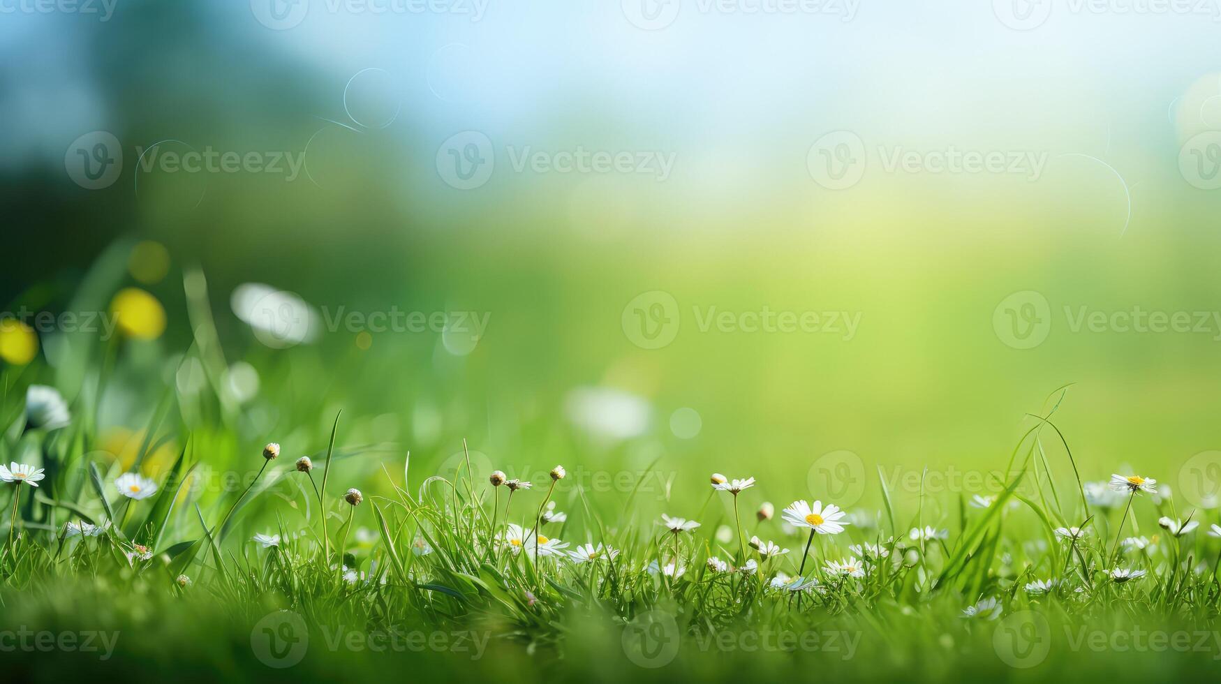 wildflowers green background banner photo