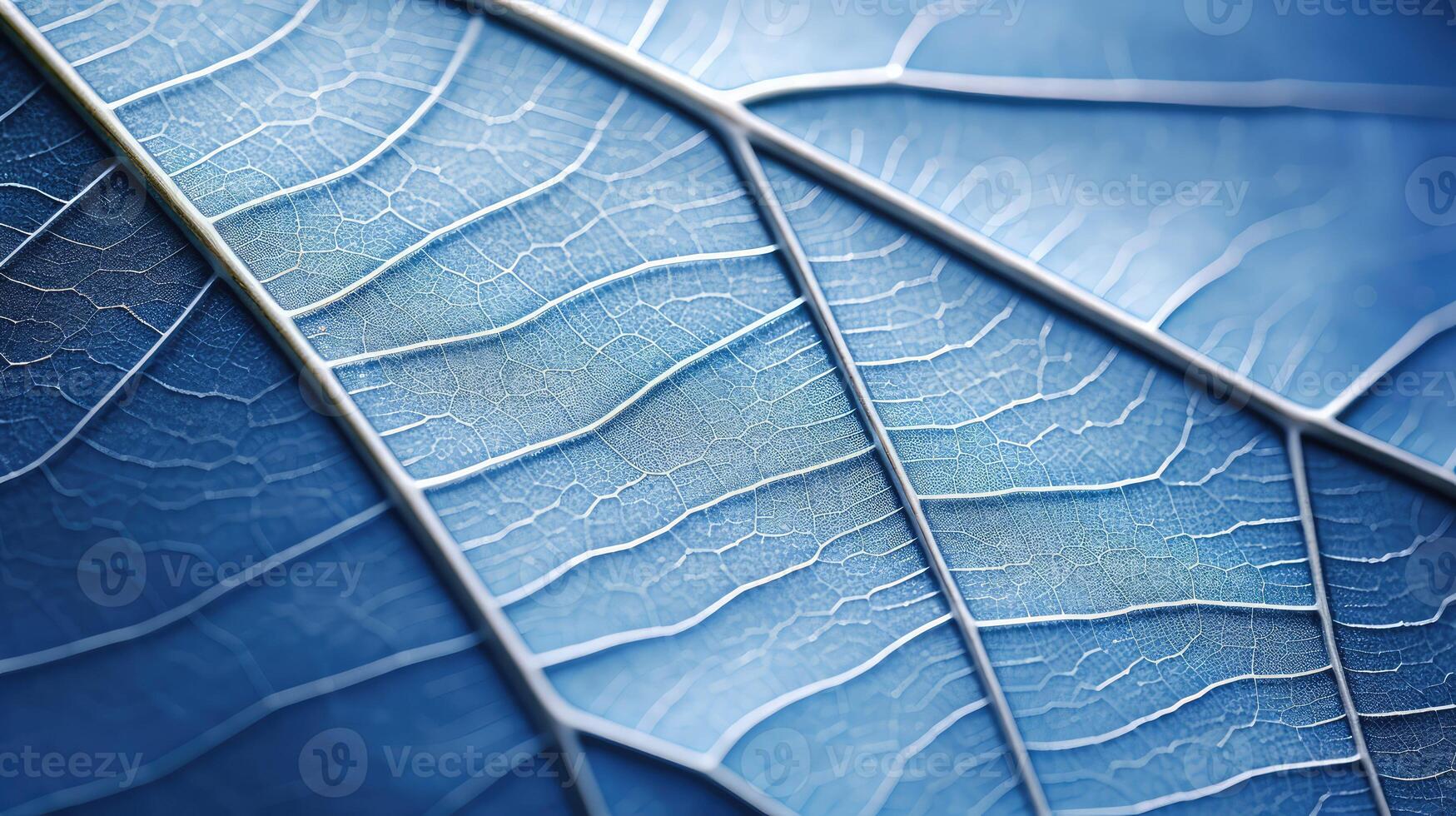 close blue bamboo photo
