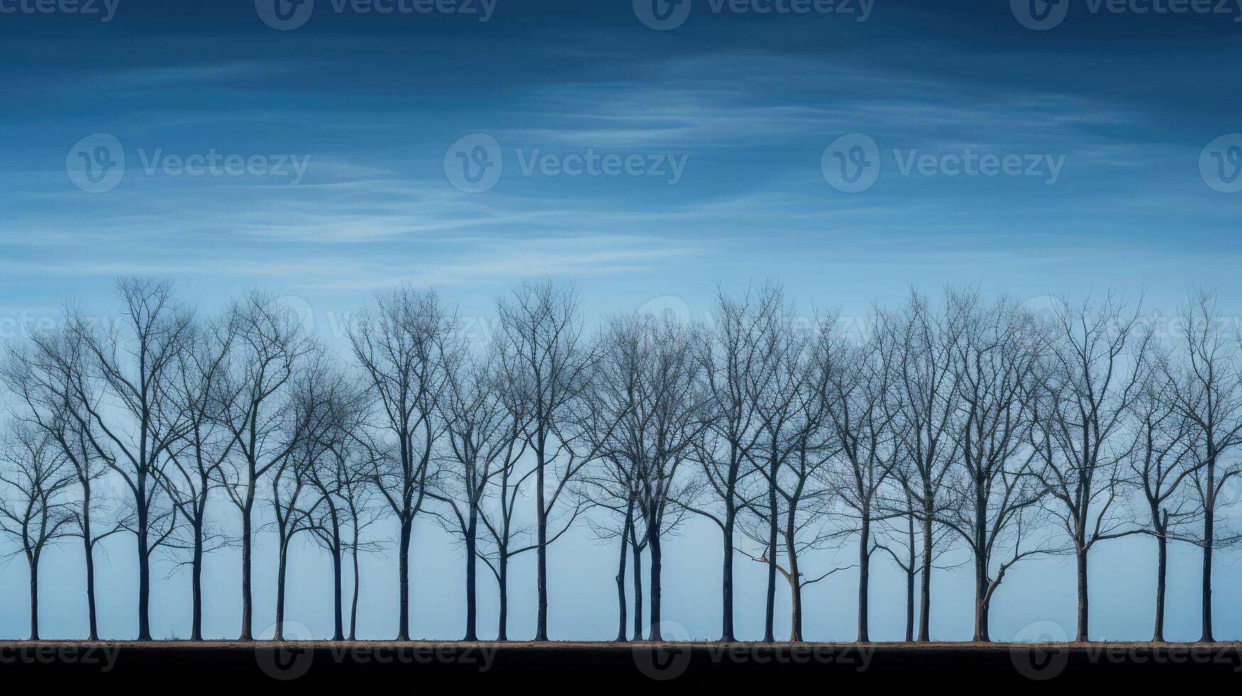 blue tree skyline photo
