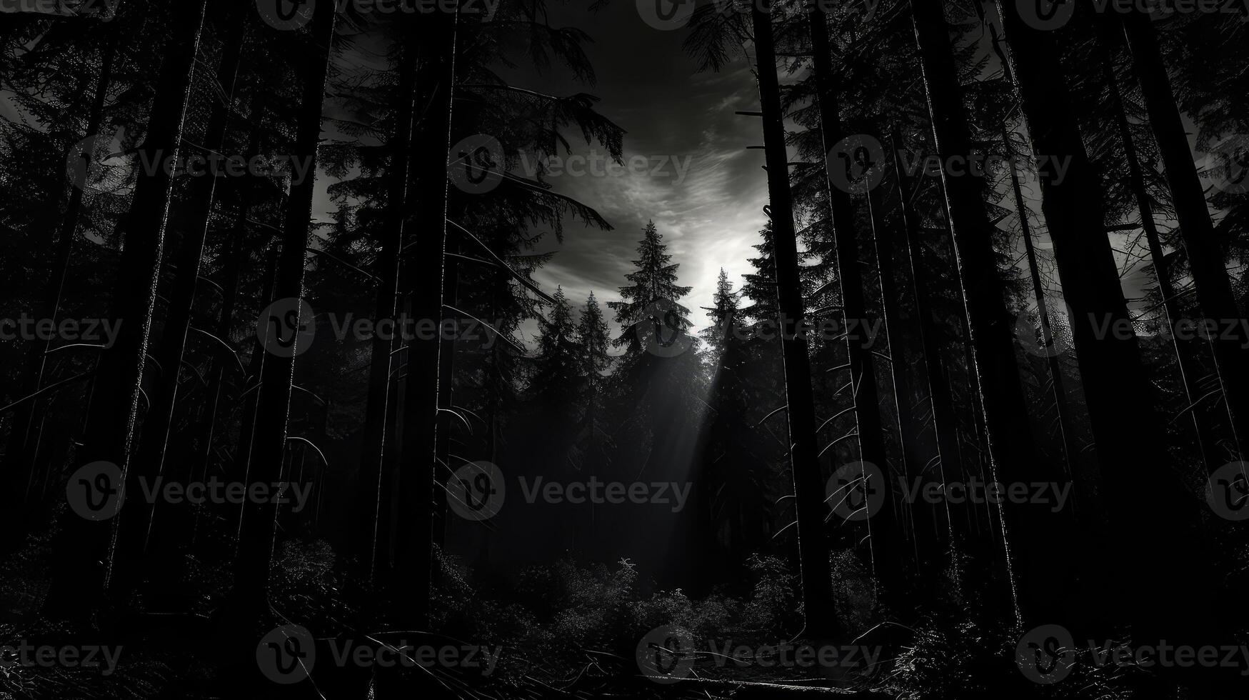 eerie black and white spotlight photo
