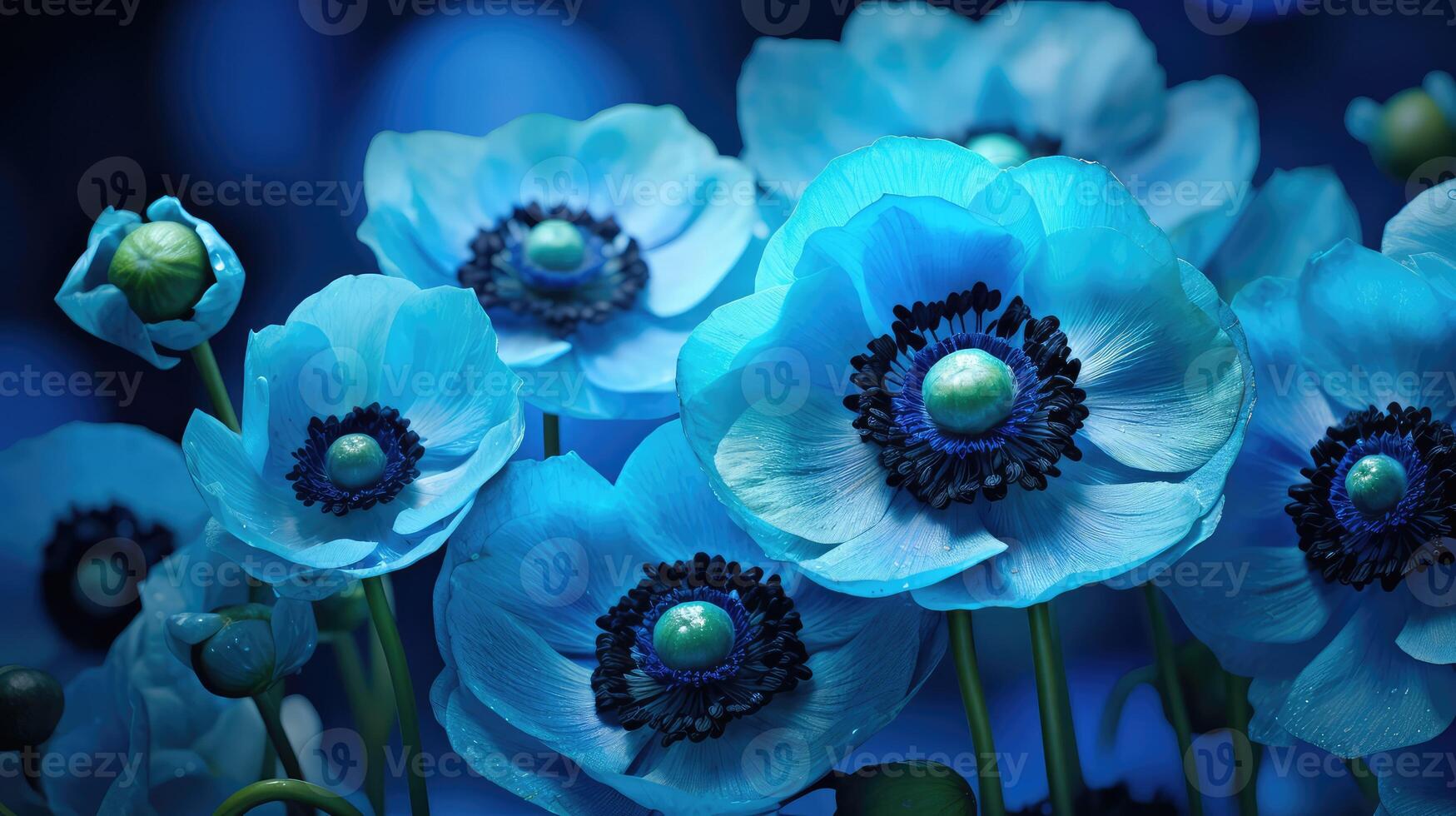 bouquet blue and green flowers photo