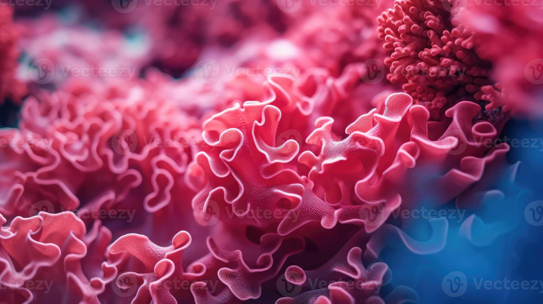 beauty coral texture background photo
