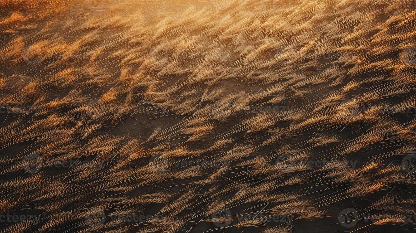 texture barnwood background photo