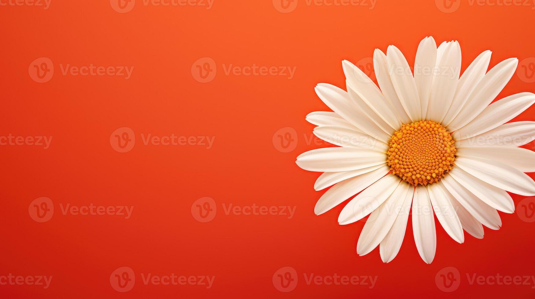 gradient orange red background photo