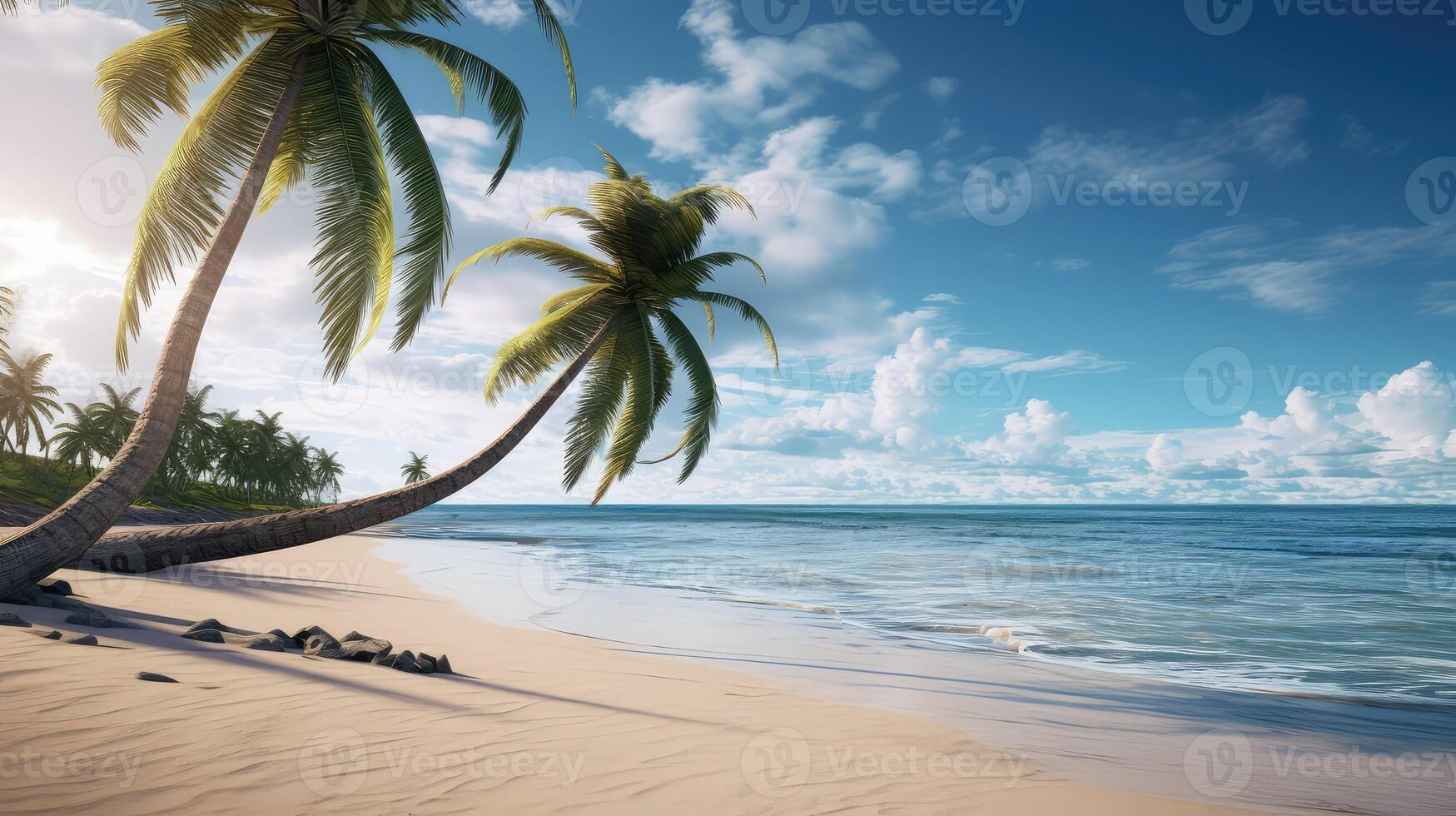 s curved palm tree photo