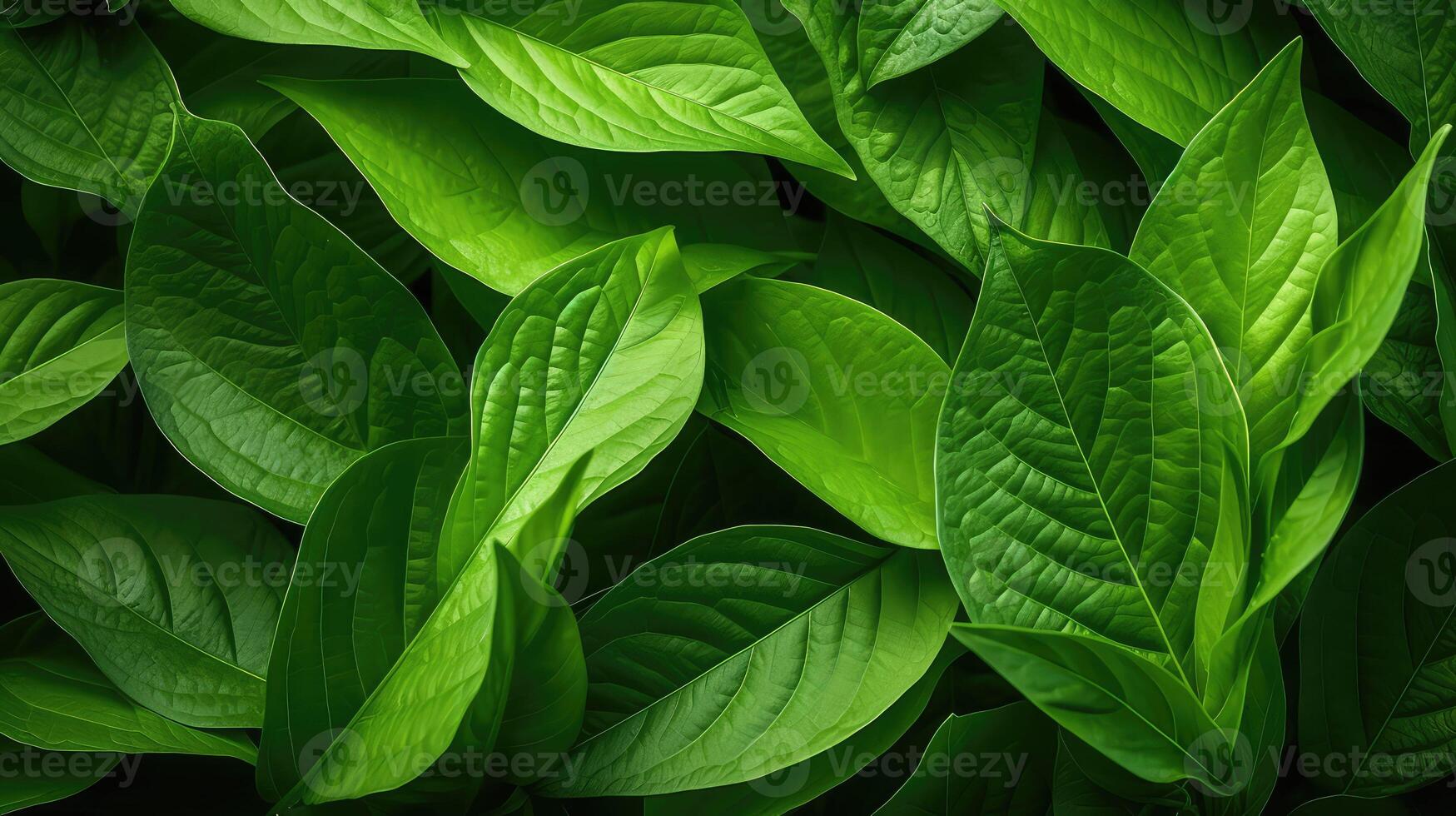 vibrant texture background green photo