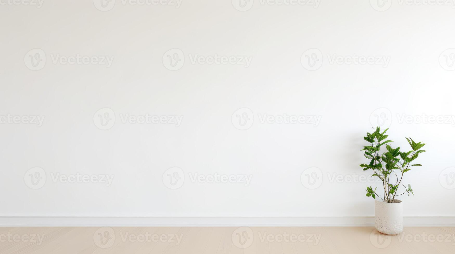 modernism empty white wall photo