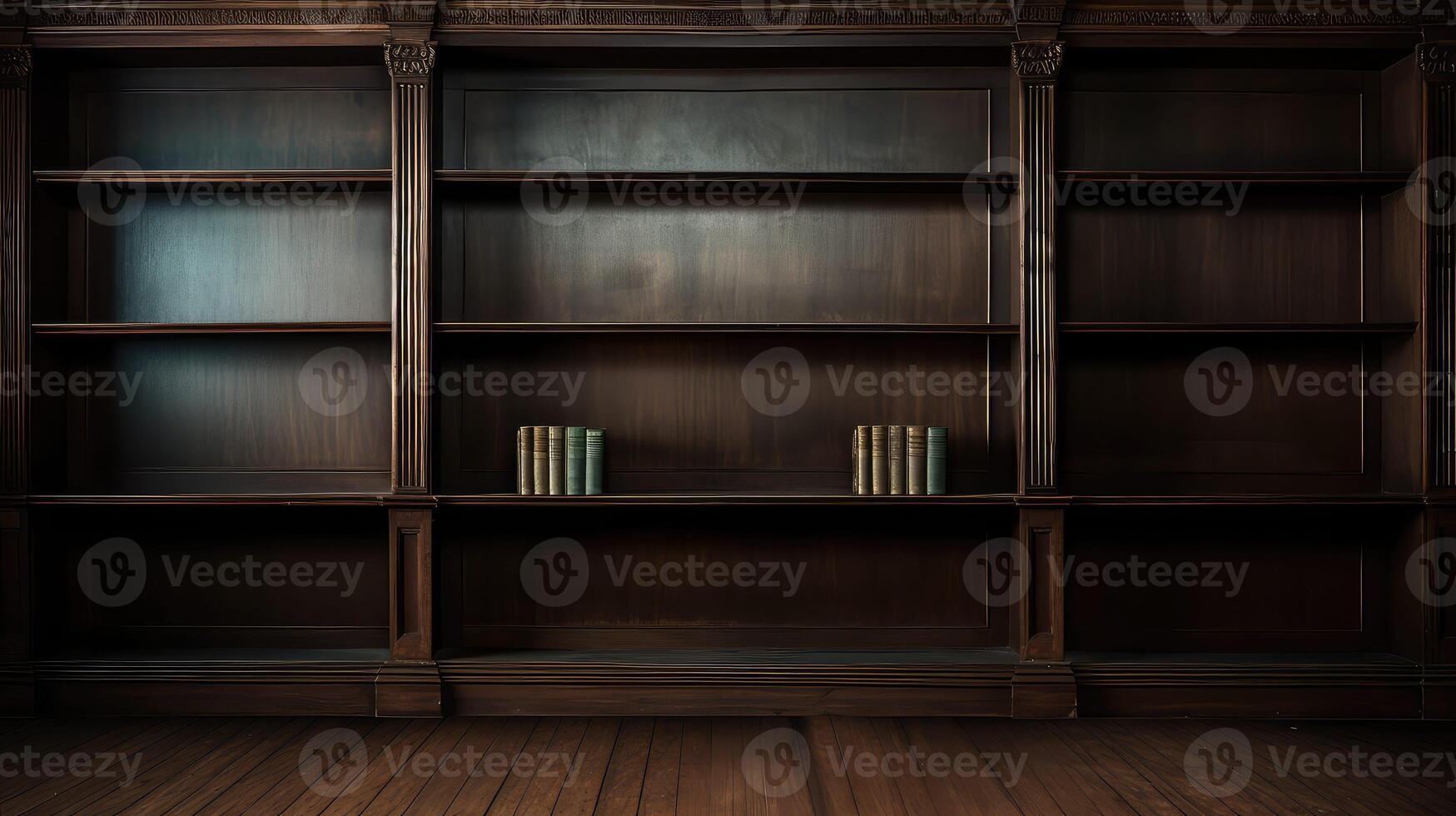 bare empty book shelf photo