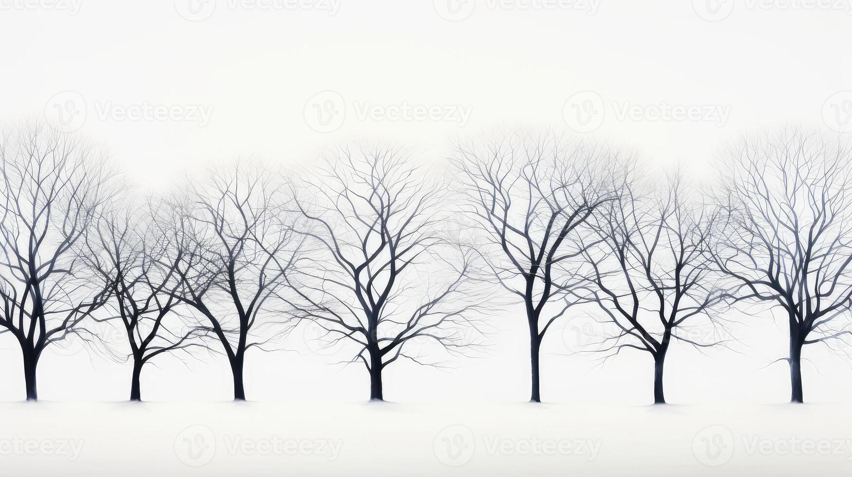 bare winter tree pattern photo