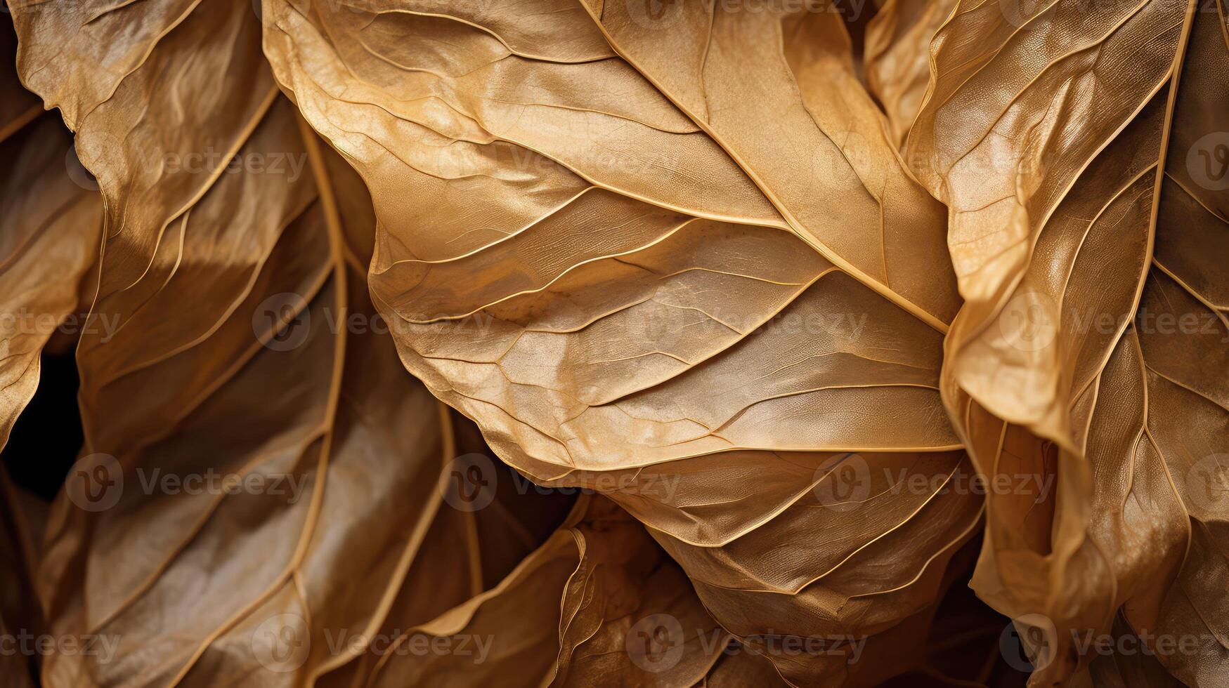 curled abstract leaf background photo