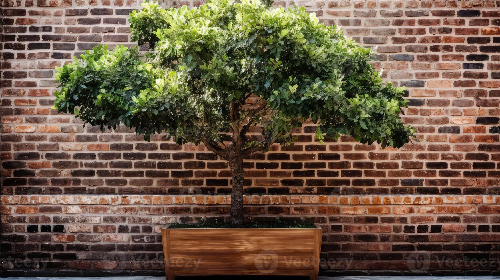 decorative tree in planter photo