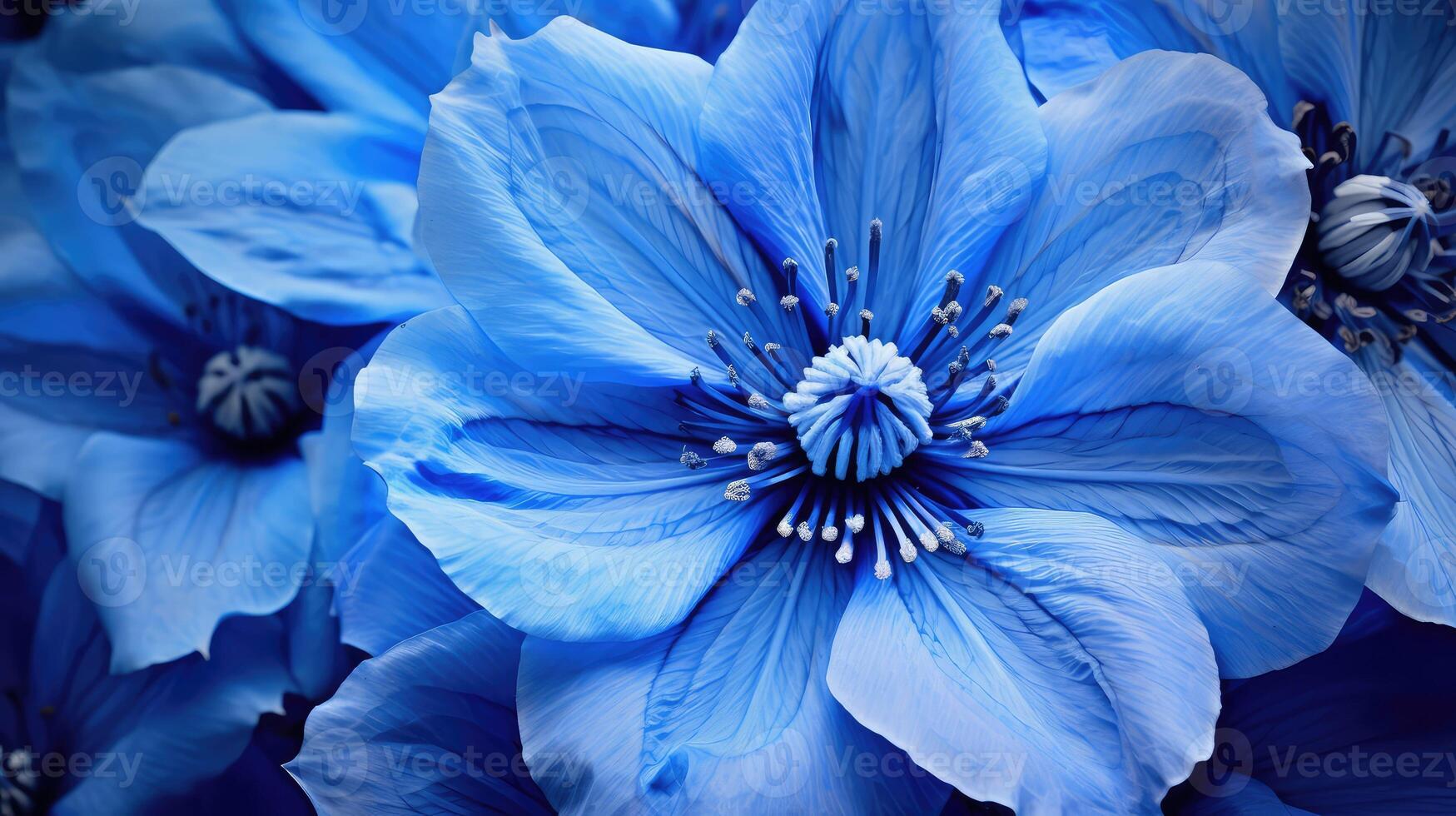 close blue eyes photo