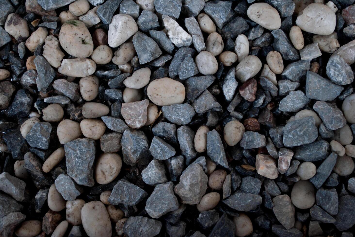 pebble stone in background. photo